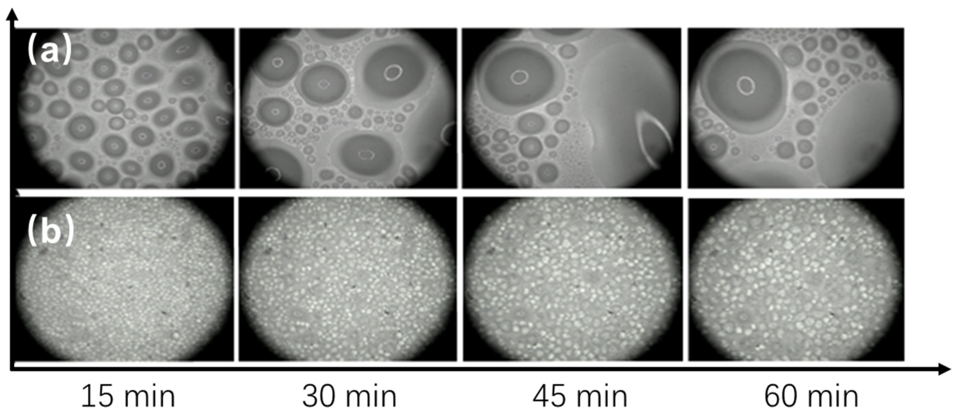 Materials 17 05238 g008