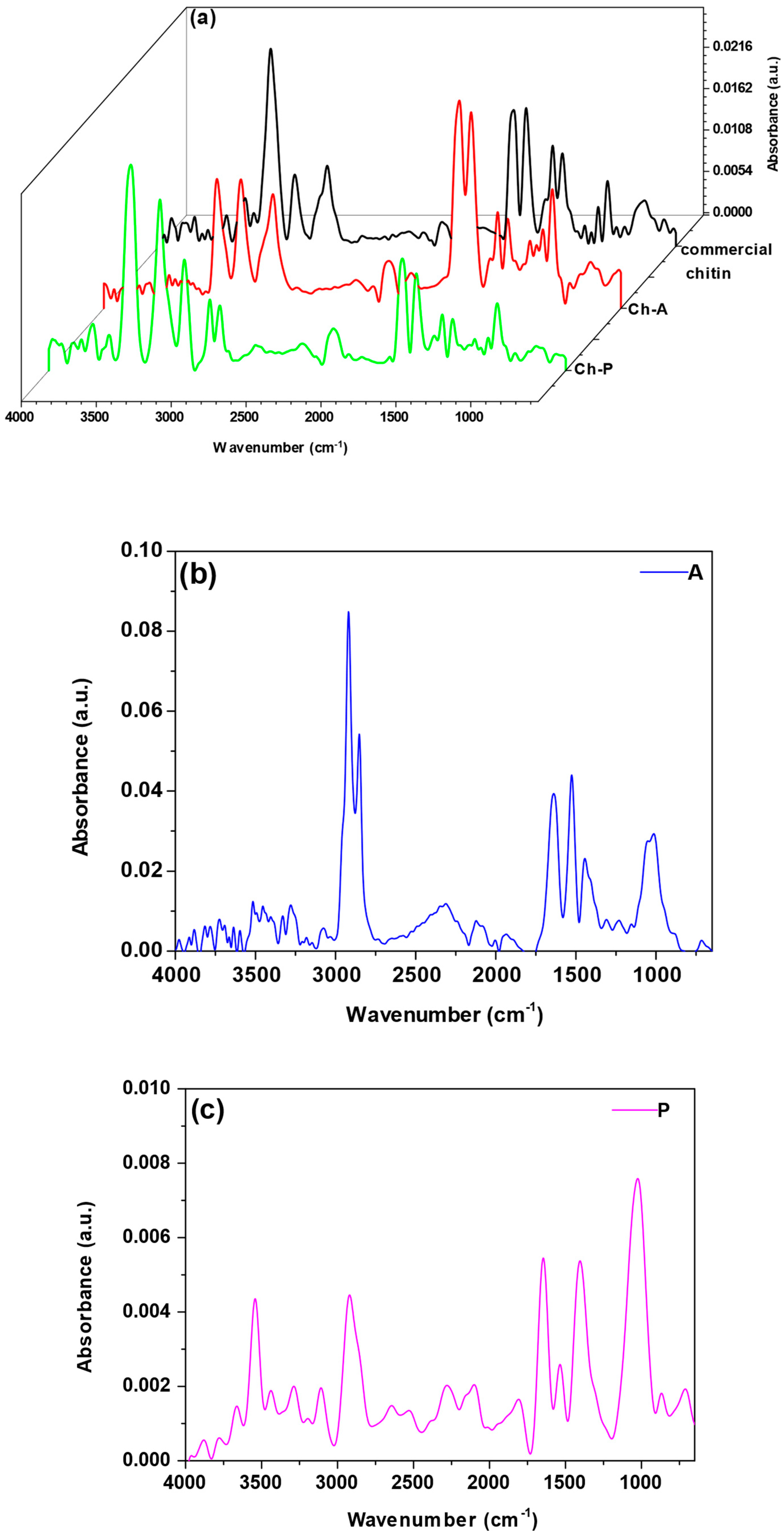 Materials 17 05255 g003a Materials 17 05255 g003a