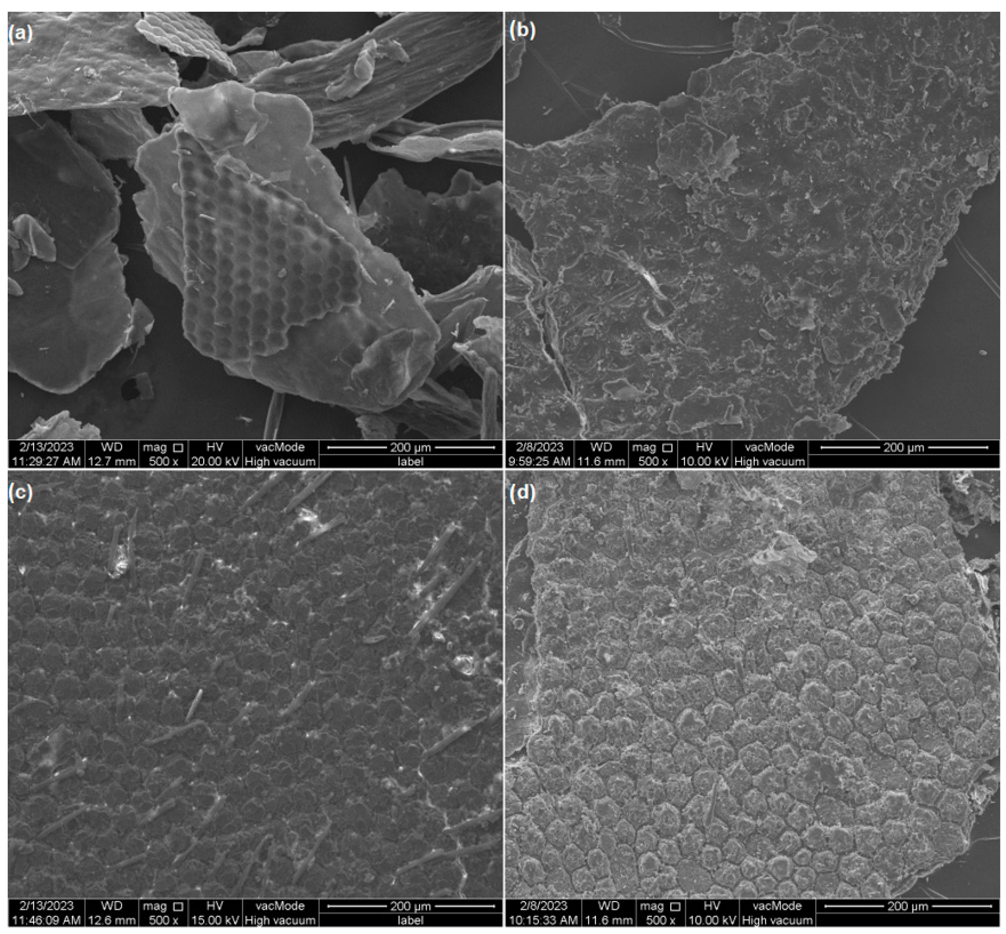 Materials 17 05255 g004a Materials 17 05255 g004a