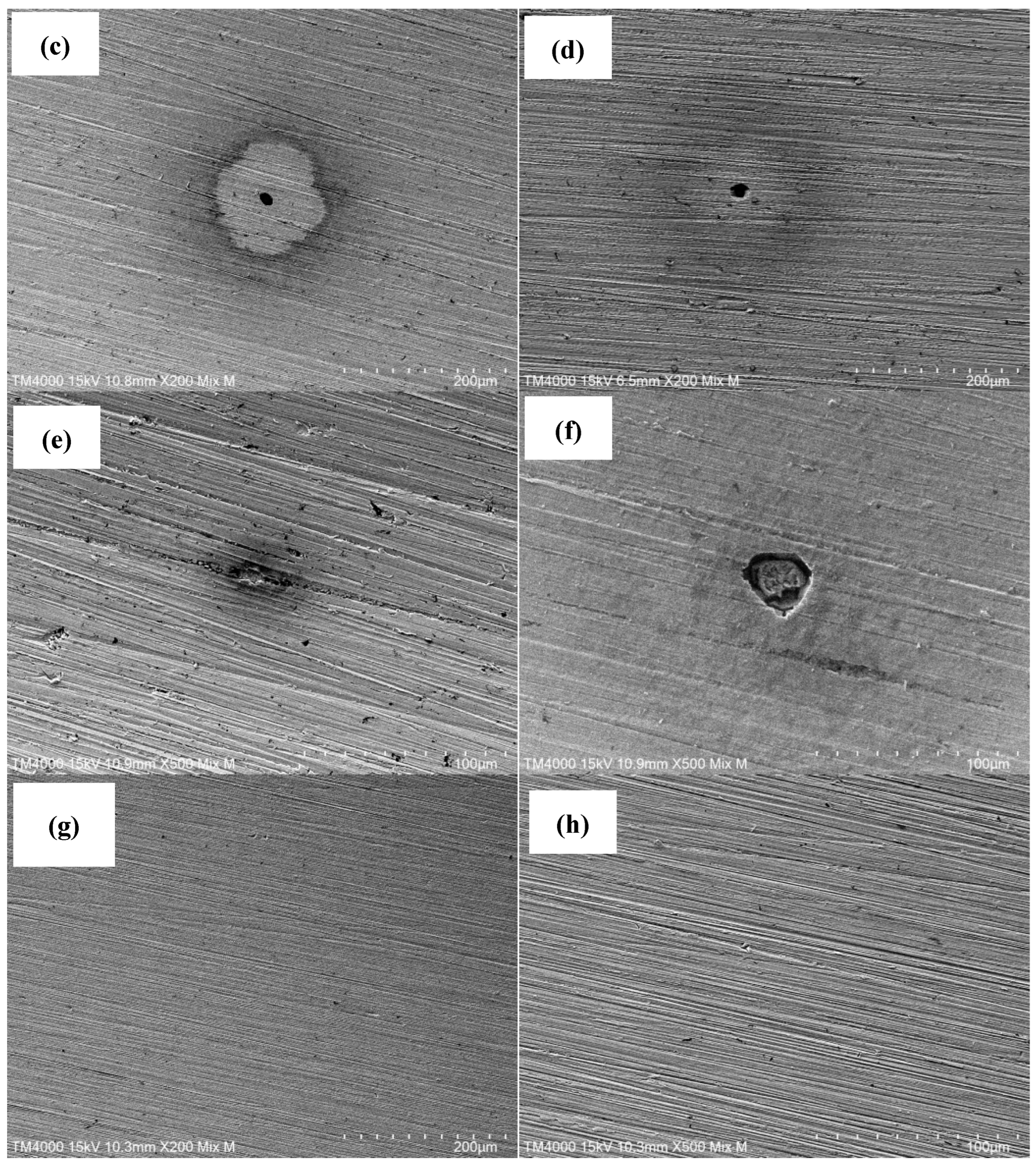 Materials 17 05259 g006b