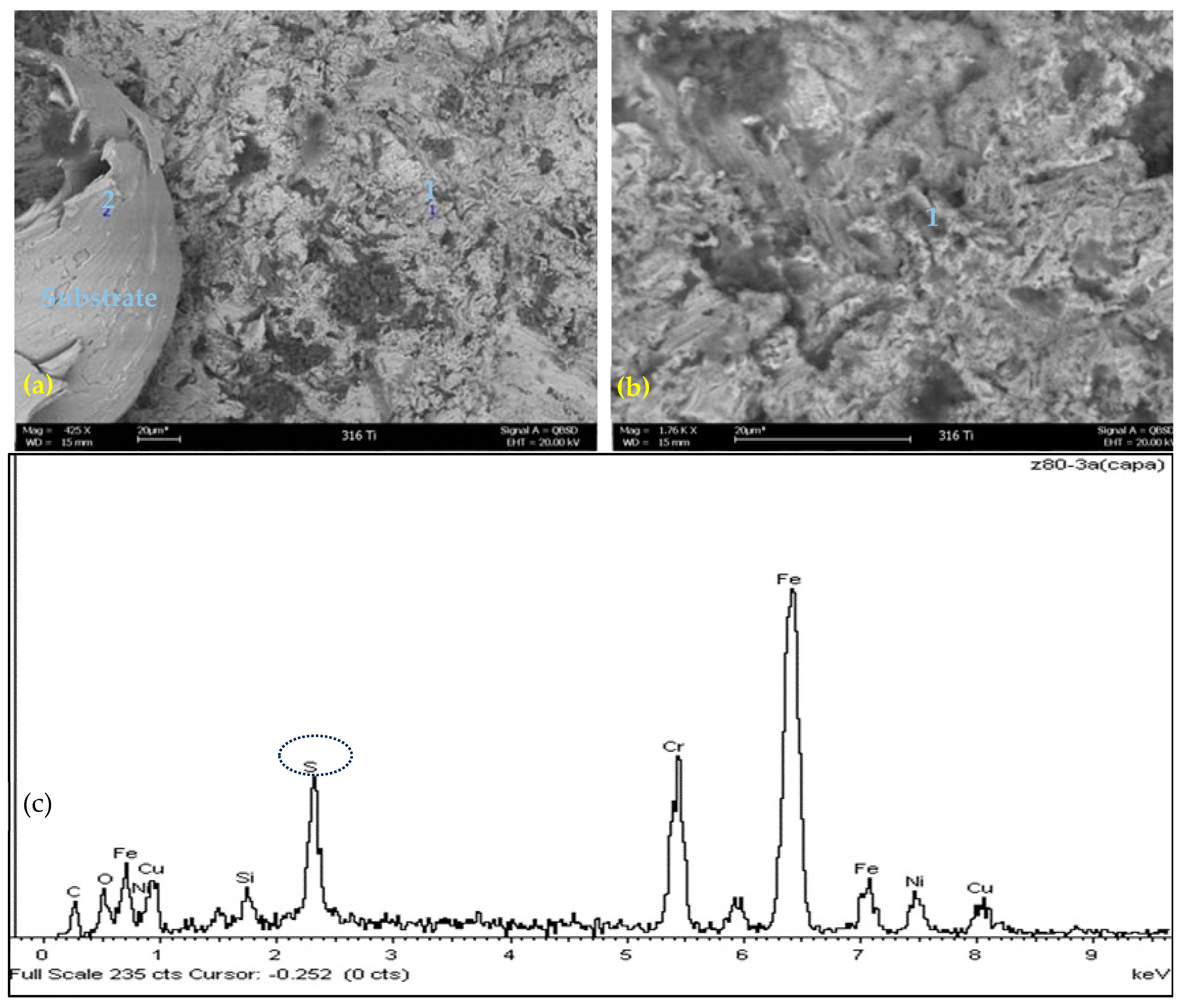 Materials 17 05275 g007