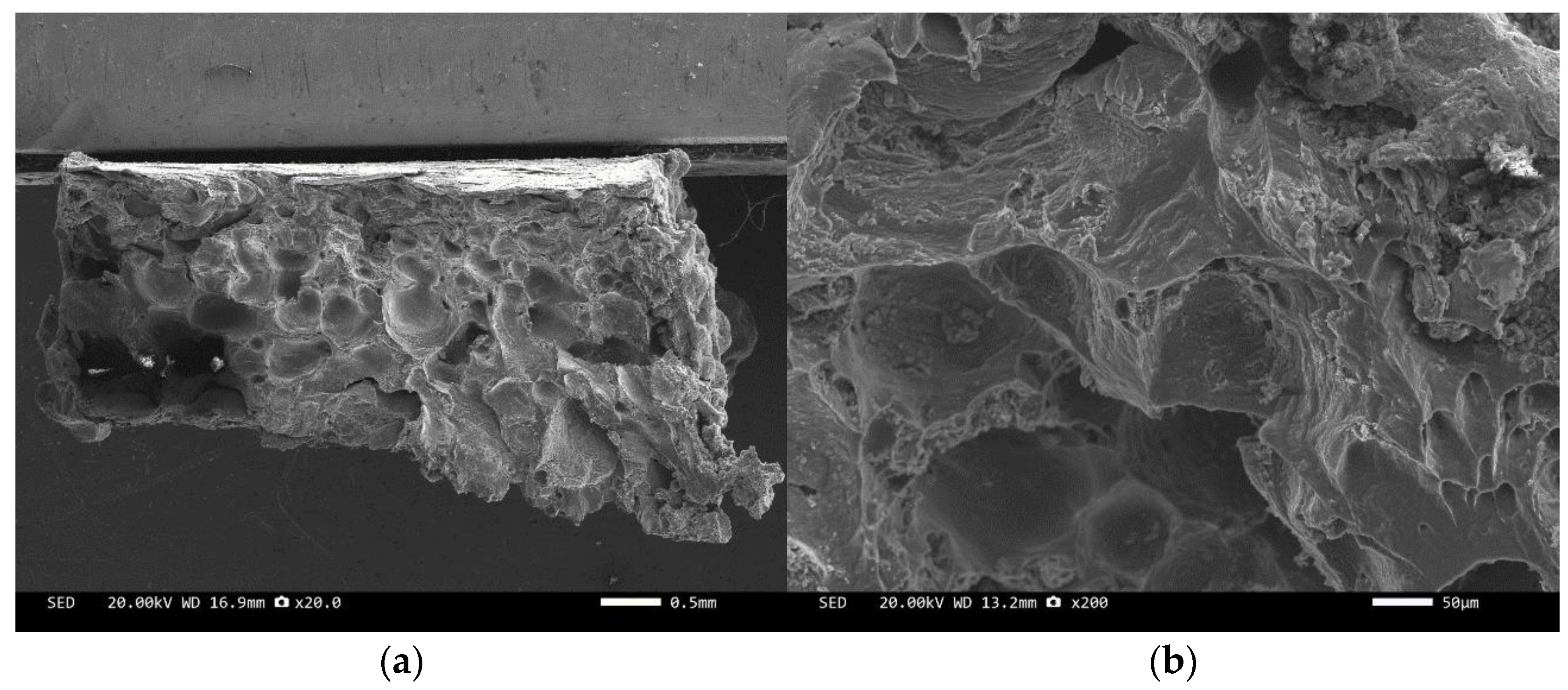 Materials 17 05280 g010