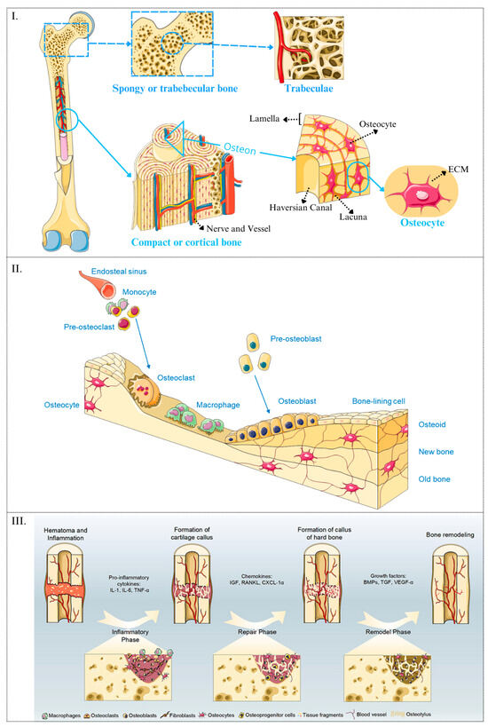 Materials 17 05305 g002
