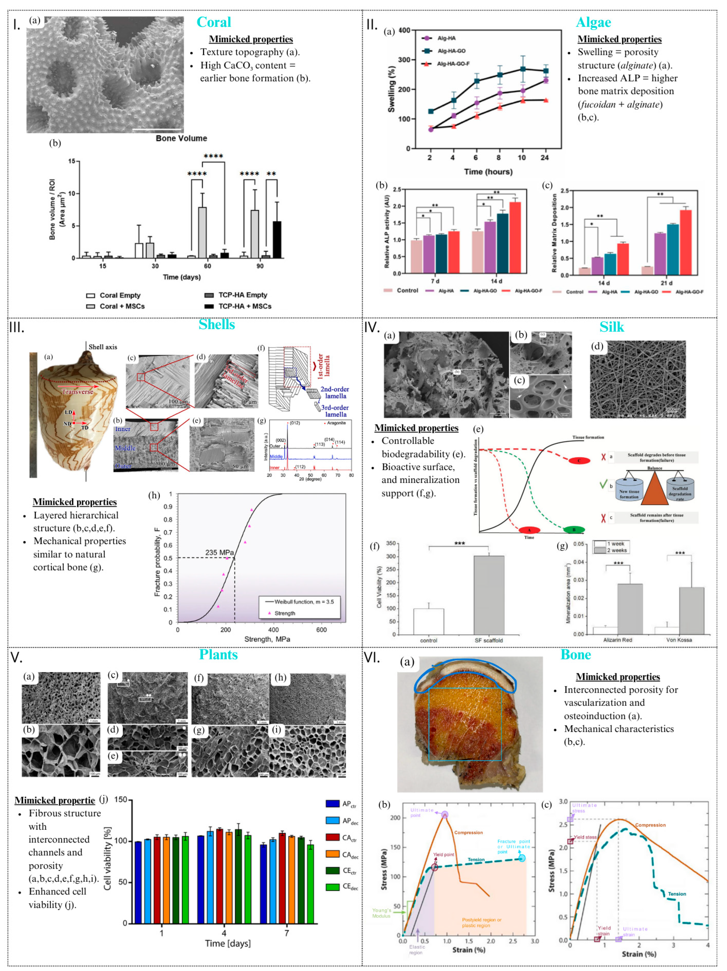 Materials 17 05305 g004