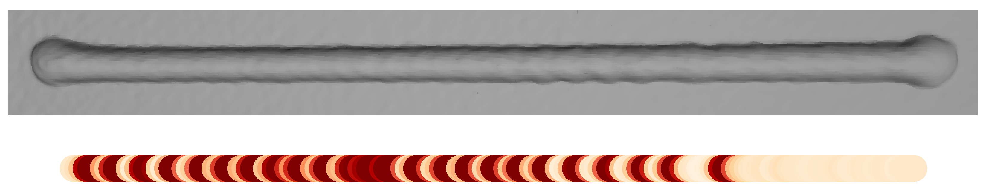 Materials 17 05311 g016