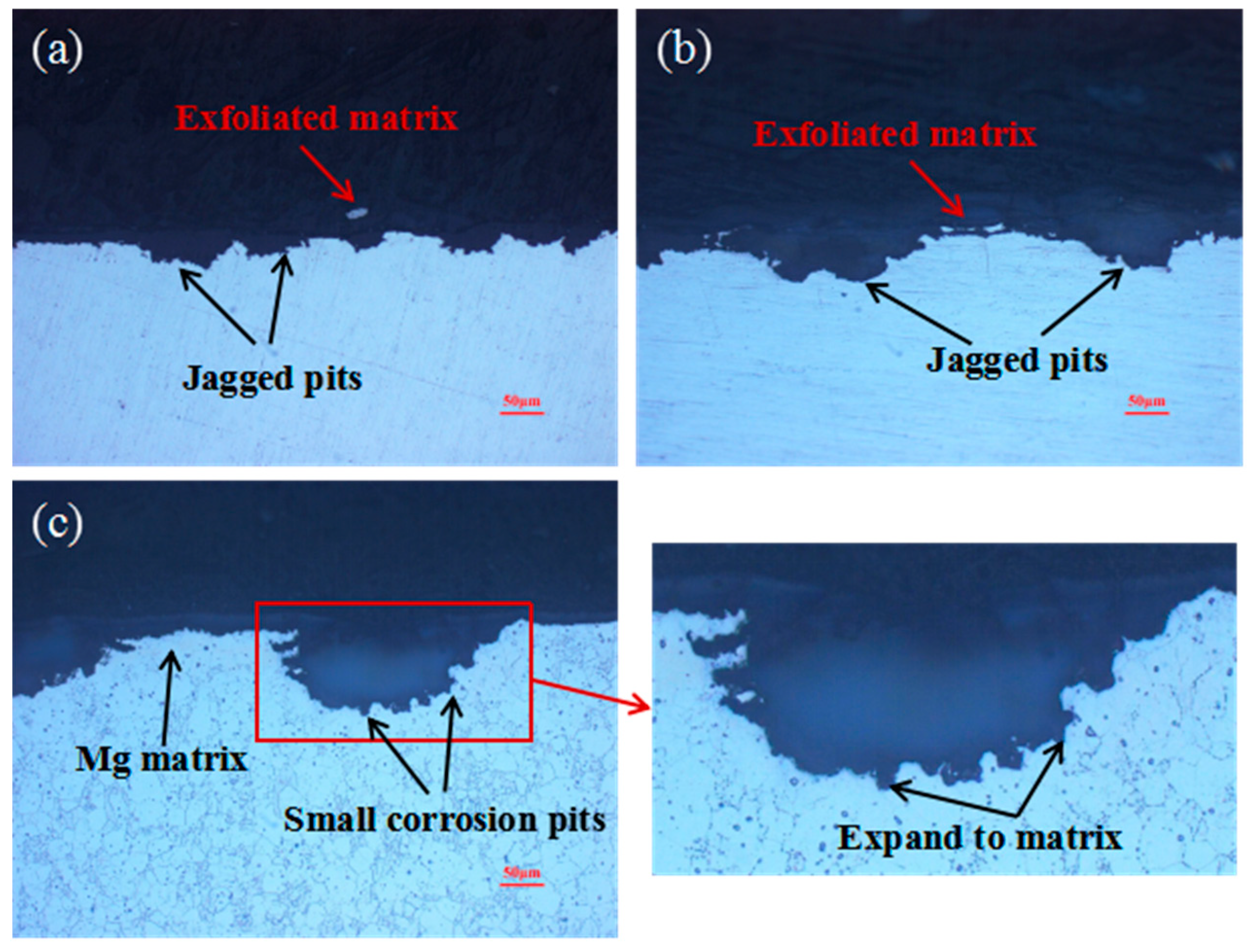 Materials 17 05353 g005