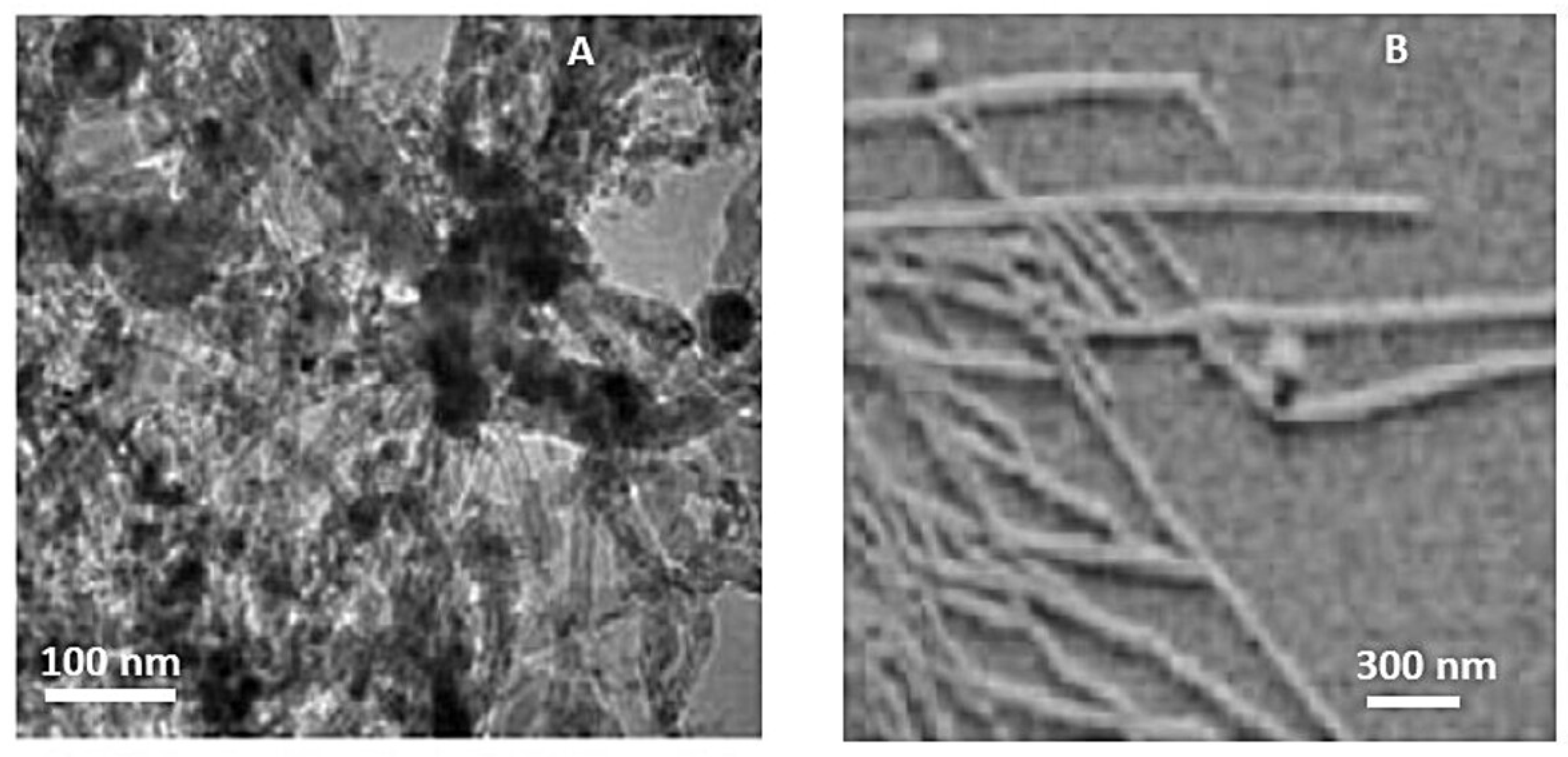 Materials 17 05356 g006