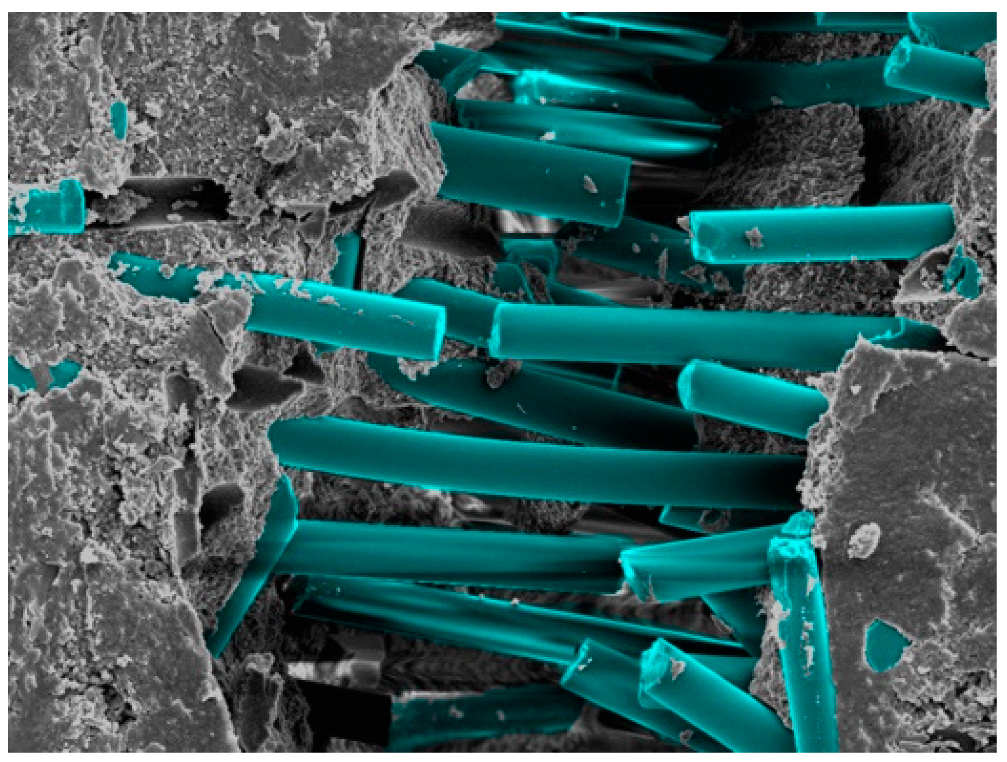 Materials 17 05368 g008