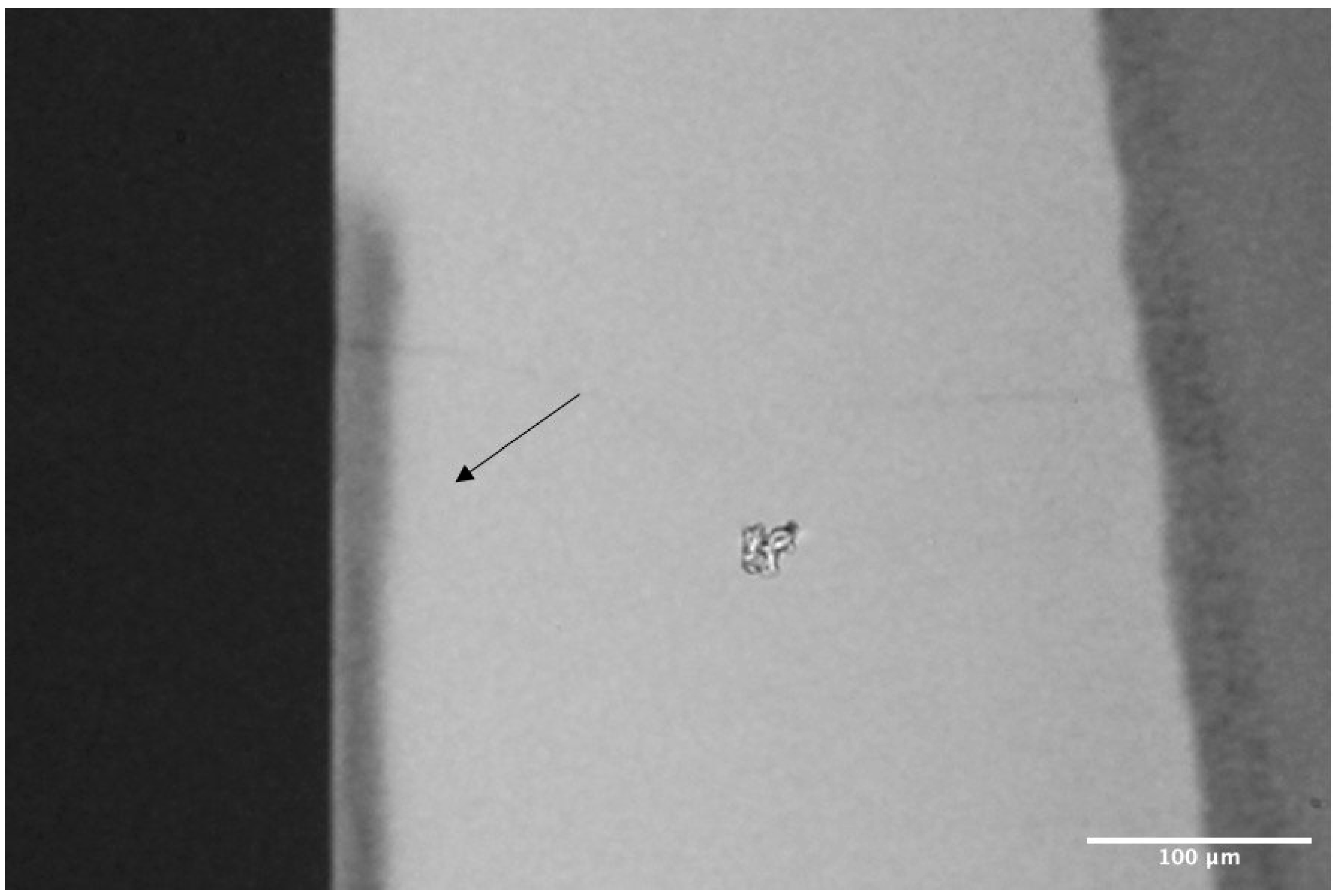 Materials 17 05378 g001