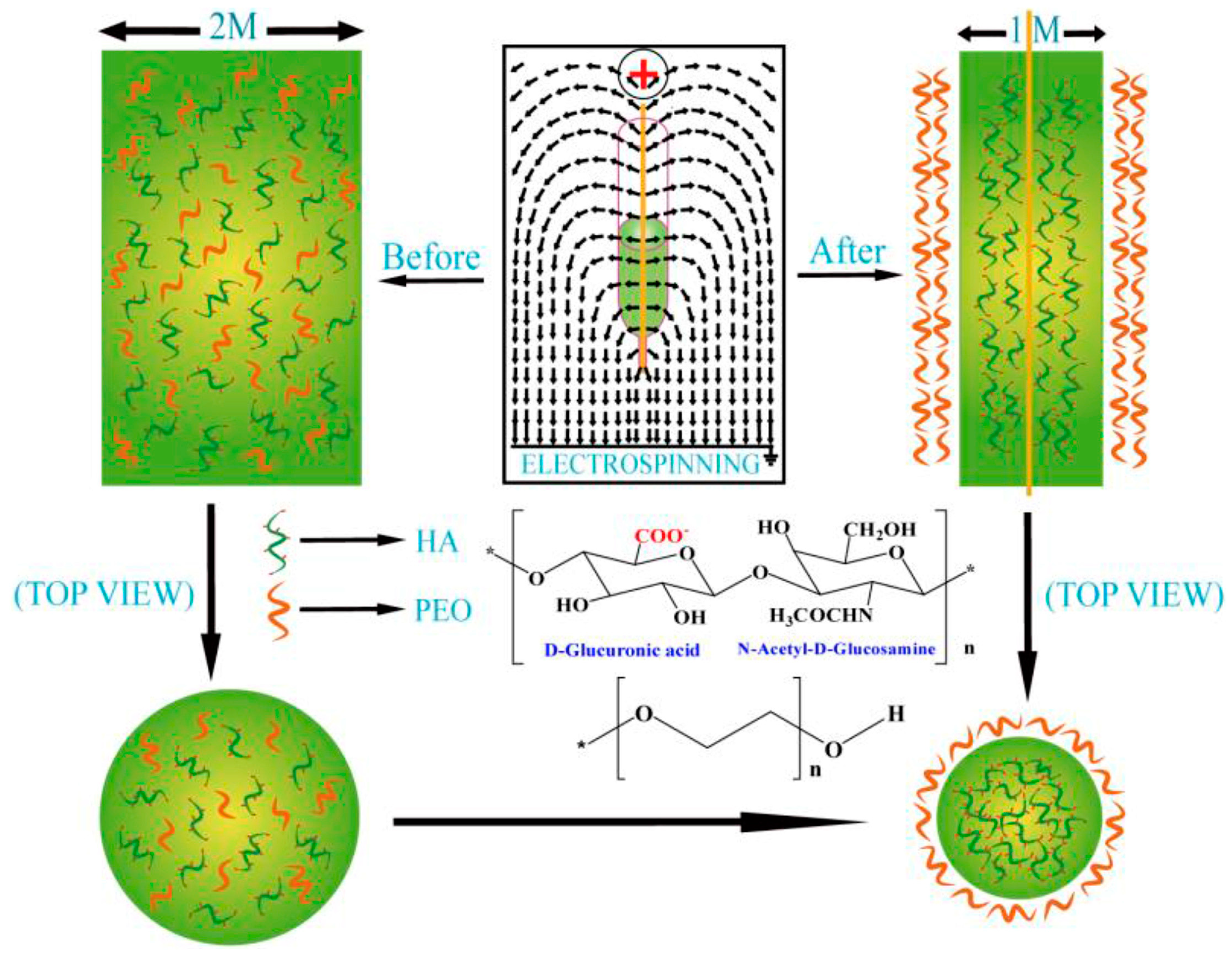 Materials 17 05379 g006