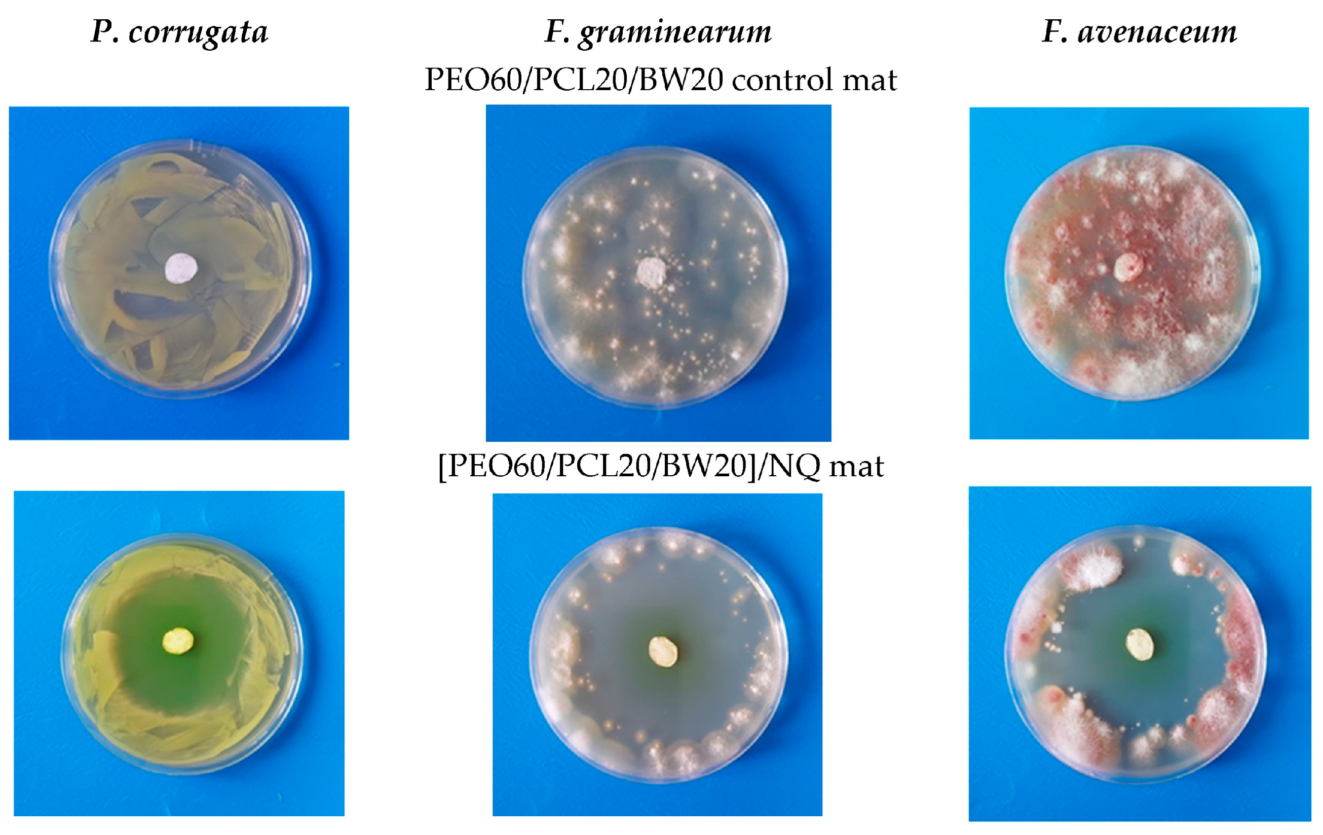 Materials 17 05379 g014