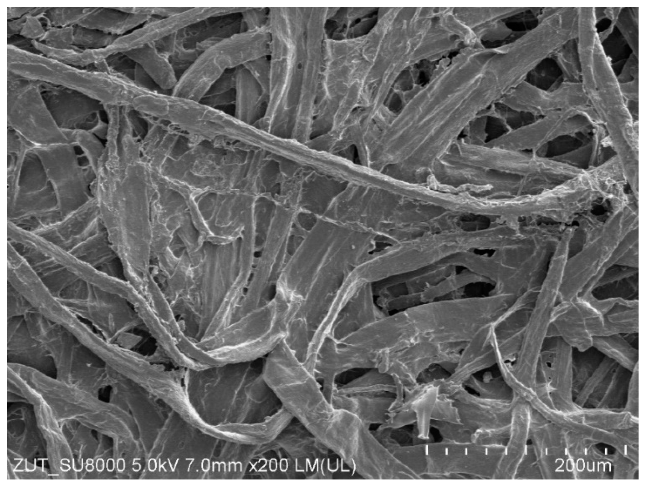 Materials 17 05382 g010