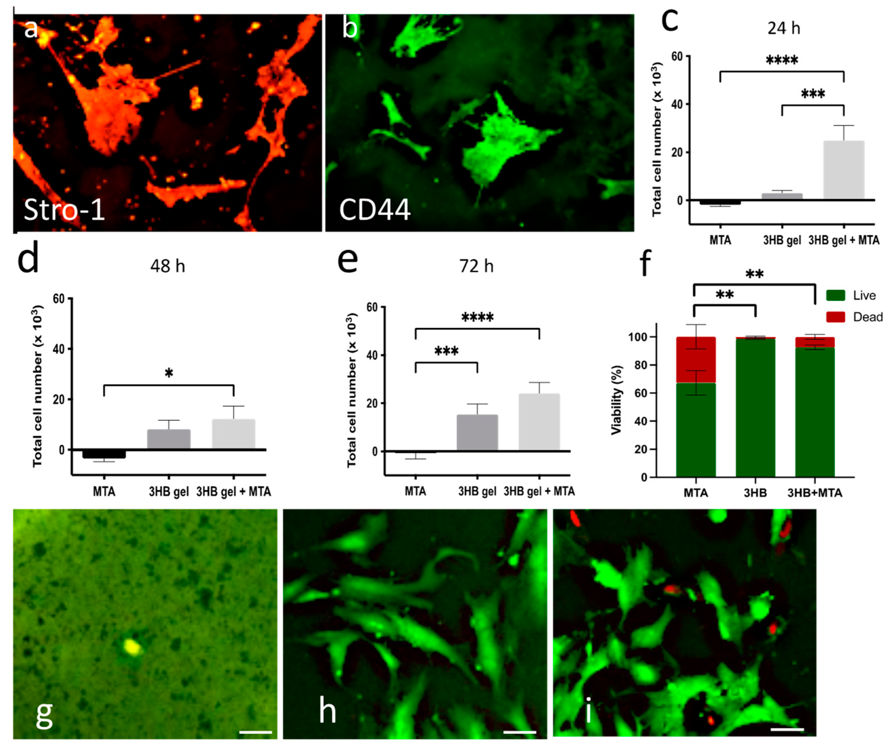 Materials 17 05384 g001