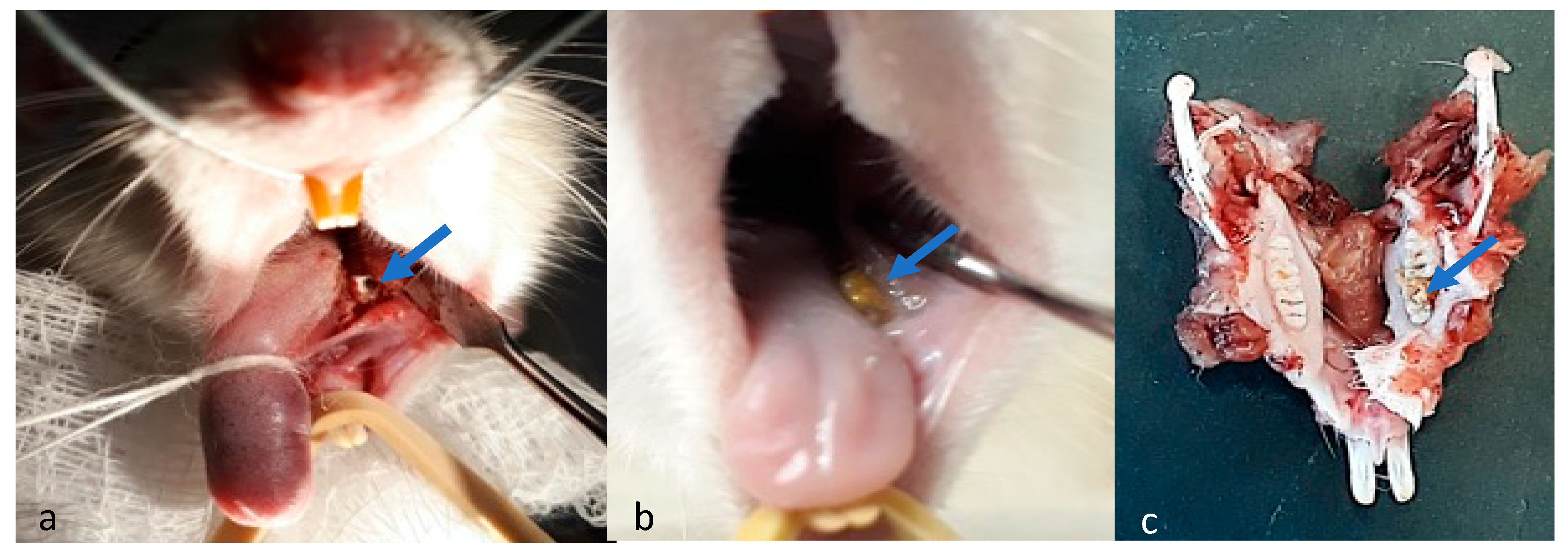 Materials 17 05384 g002