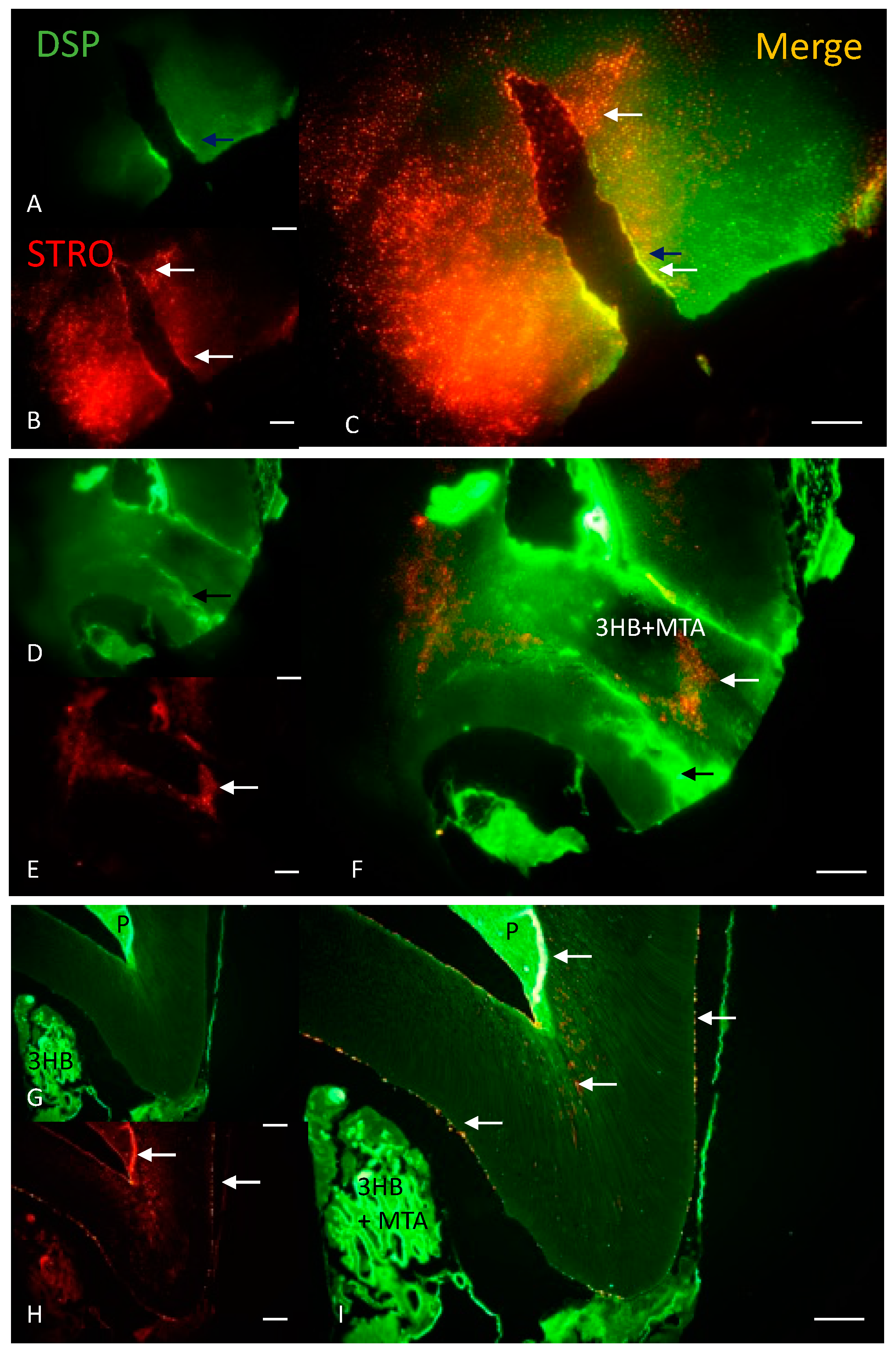 Materials 17 05384 g006