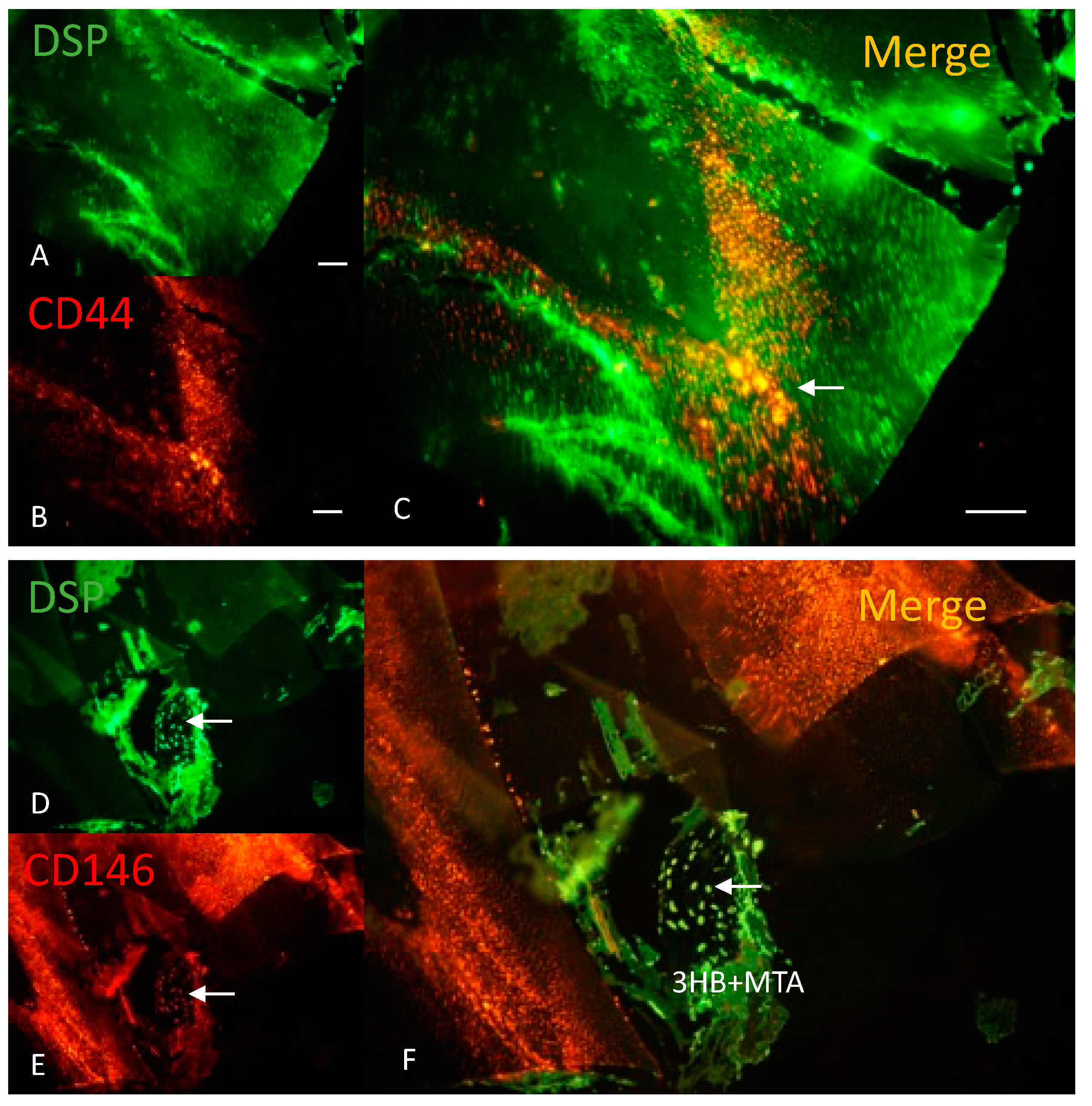 Materials 17 05384 g007