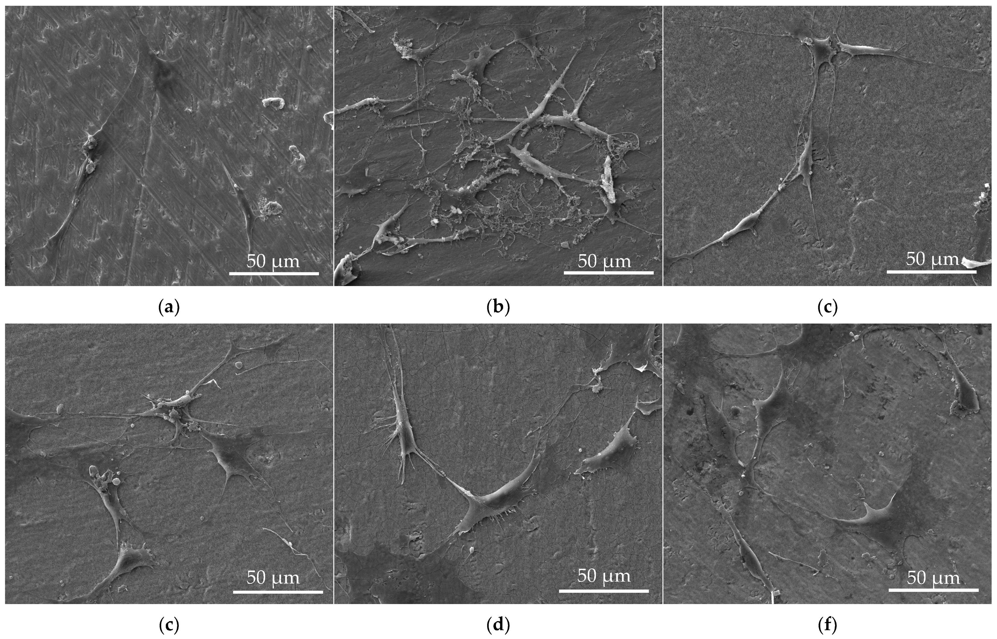 Materials 17 05392 g002a