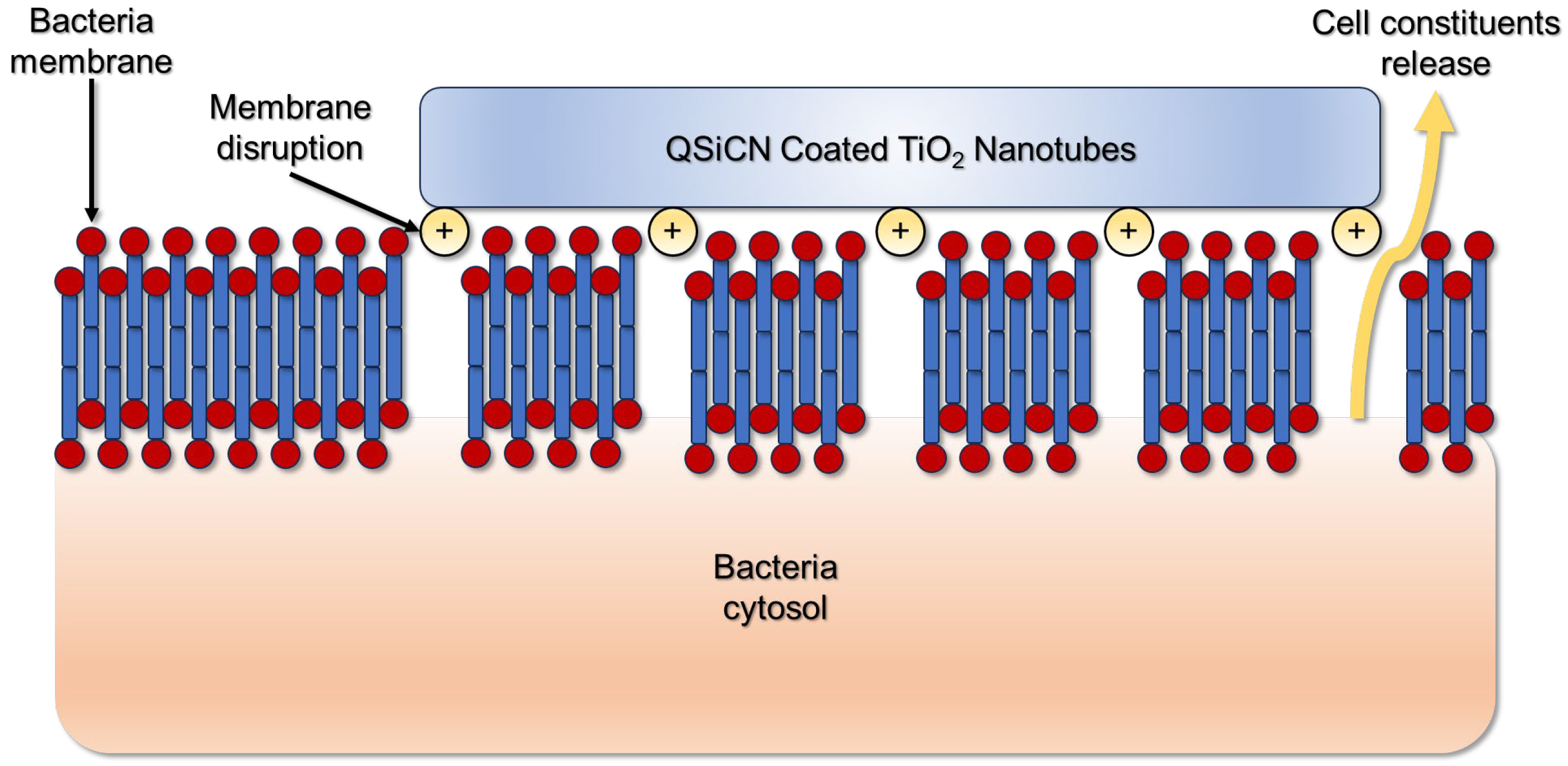 Materials 17 05392 g004