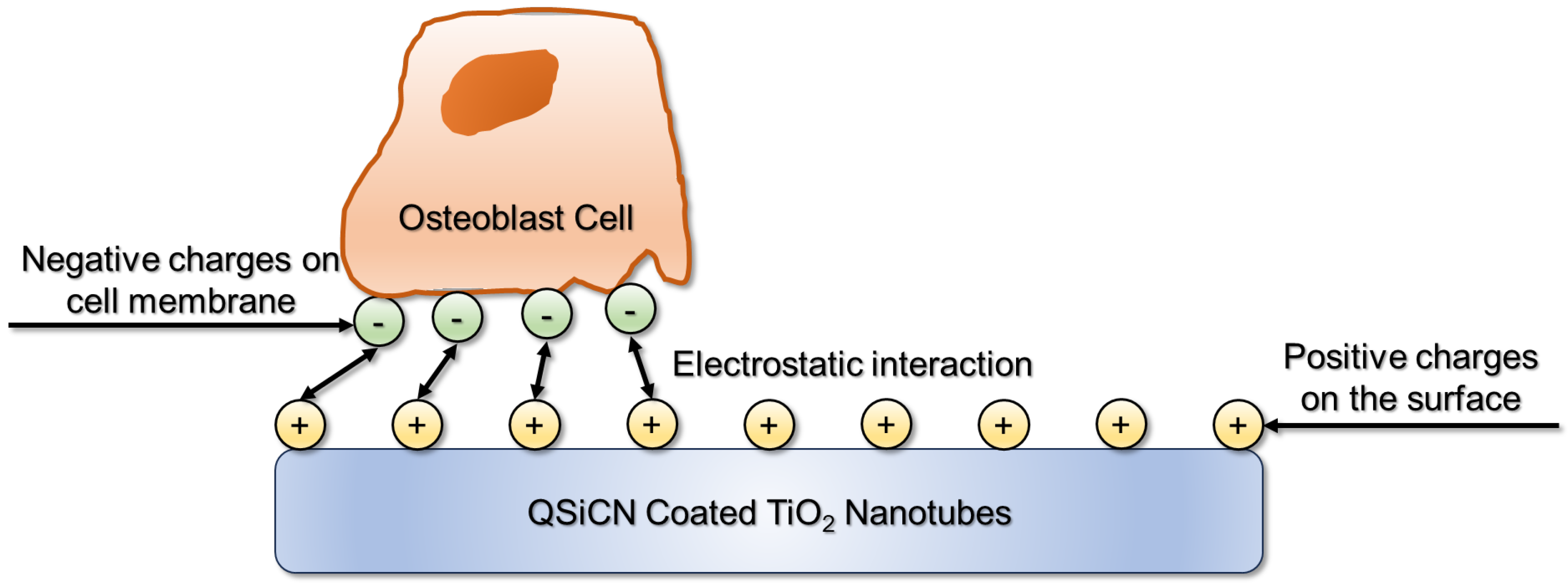 Materials 17 05392 g005