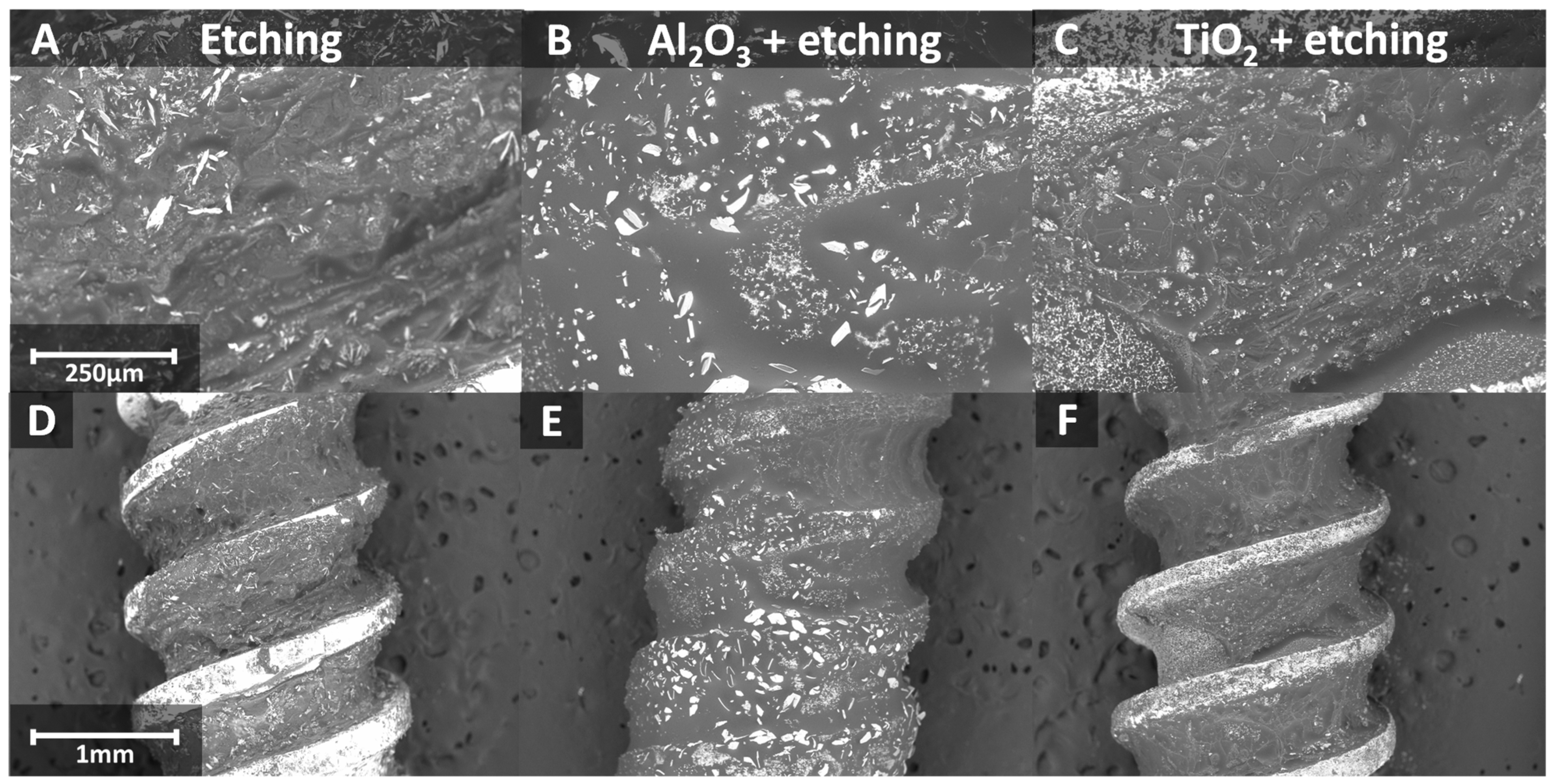 Materials 17 05396 g005 Materials 17 05396 g005
