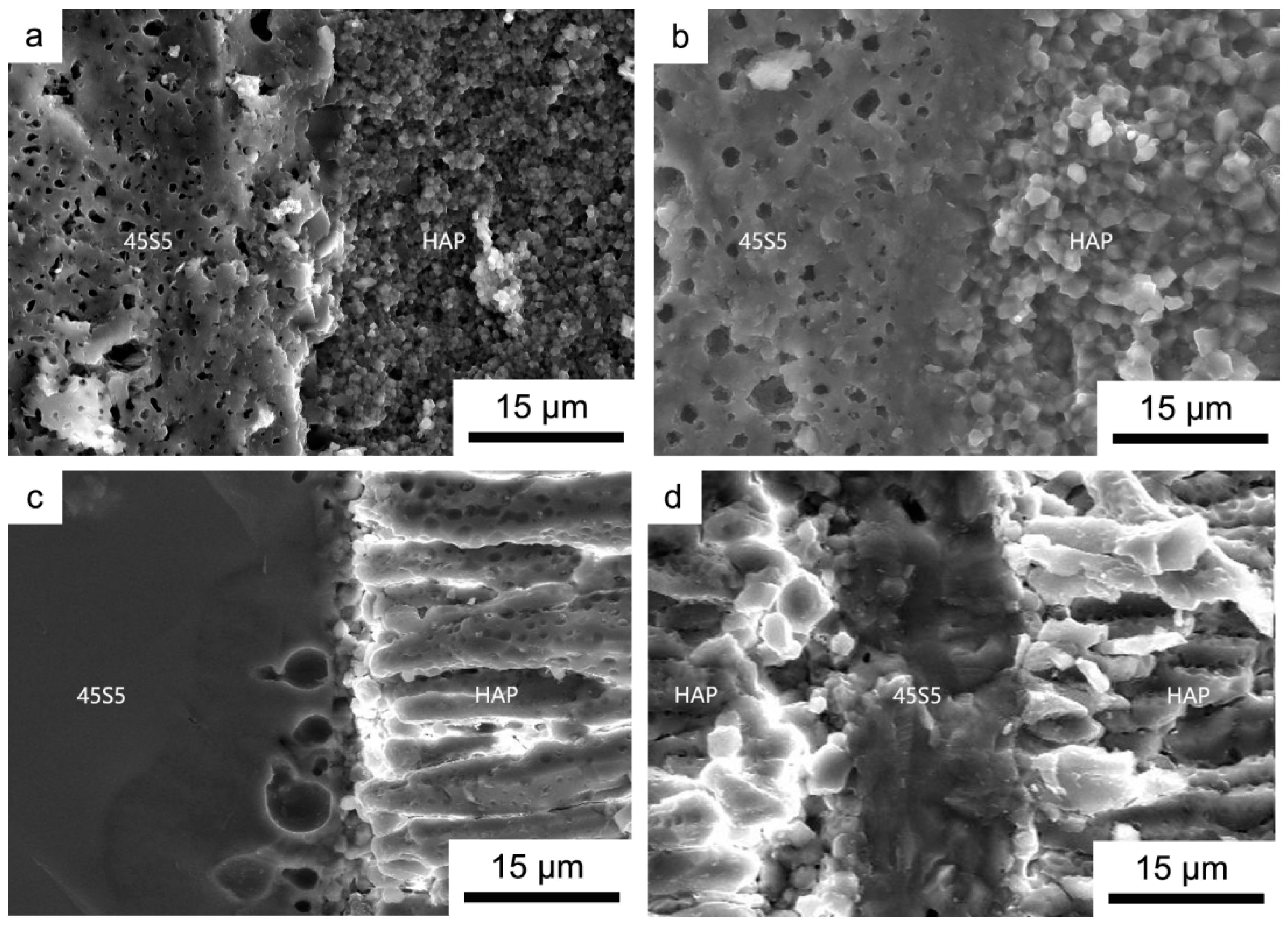 Materials 17 05413 g005 Materials 17 05413 g005