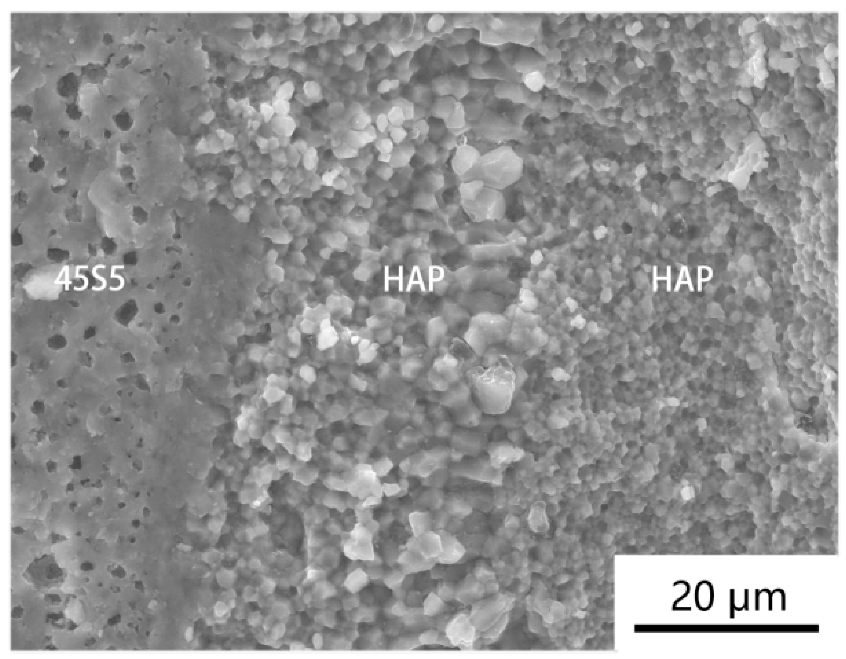 Materials 17 05413 g006 Materials 17 05413 g006