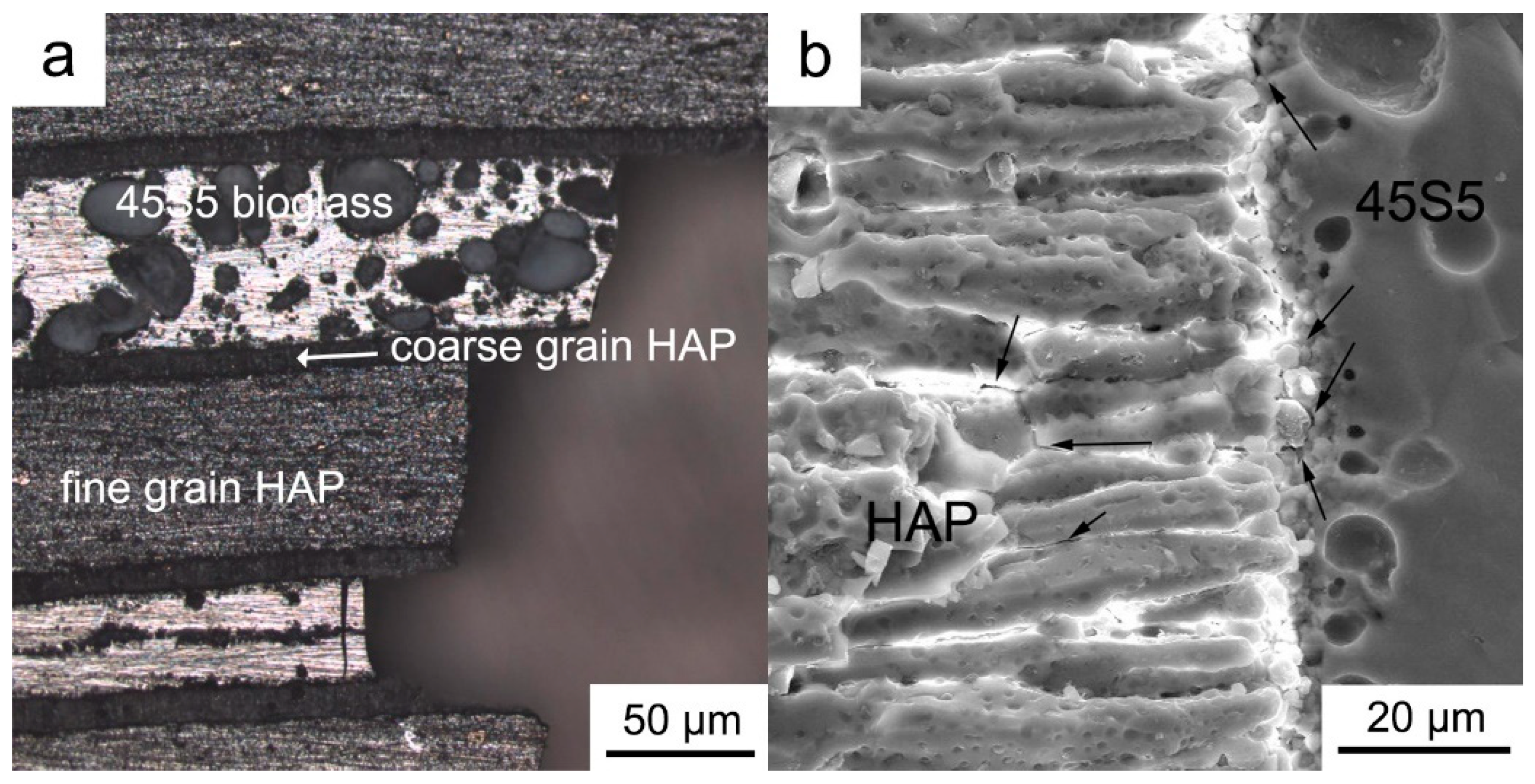 Materials 17 05413 g010 Materials 17 05413 g010