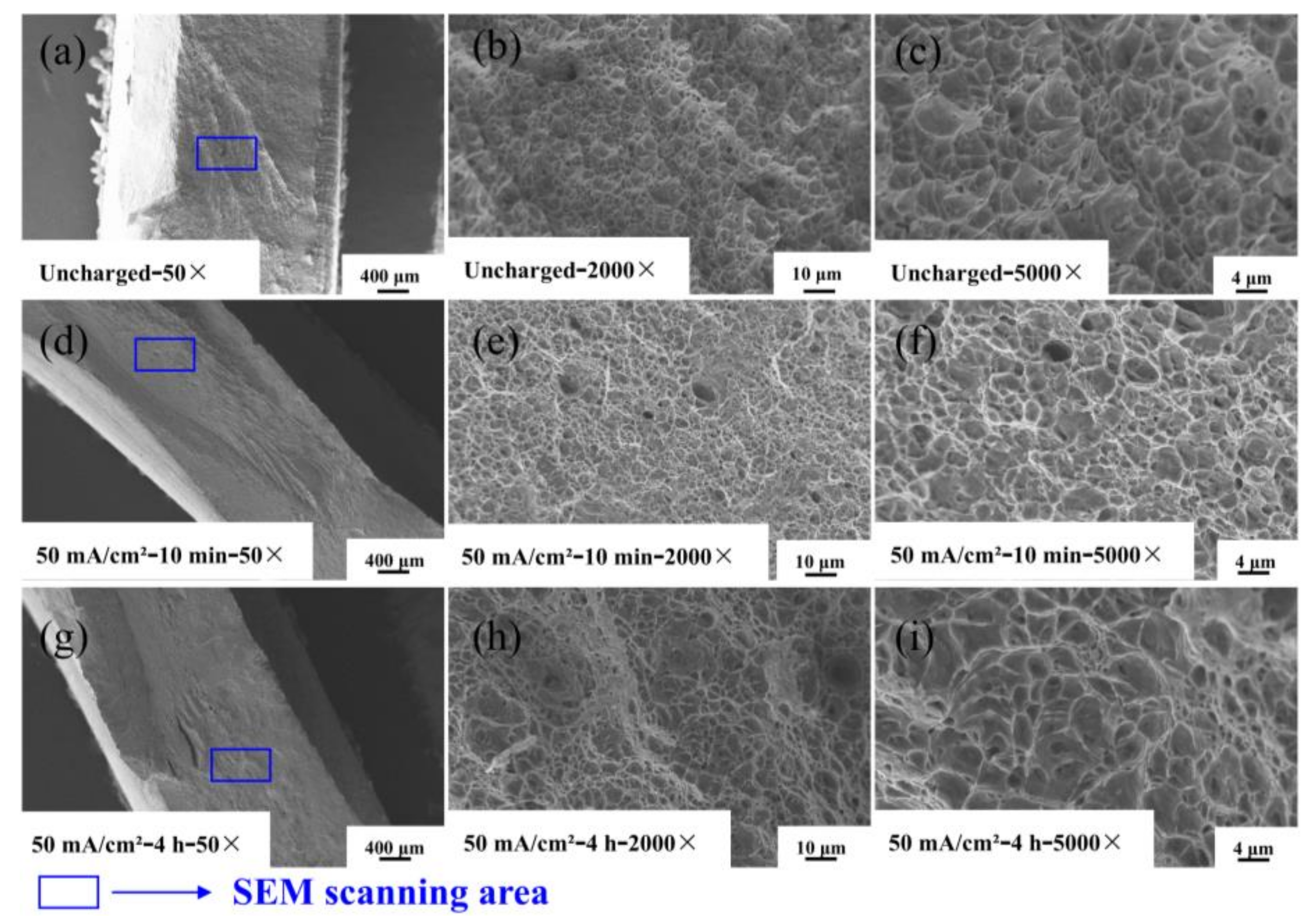 Materials 17 05446 g012