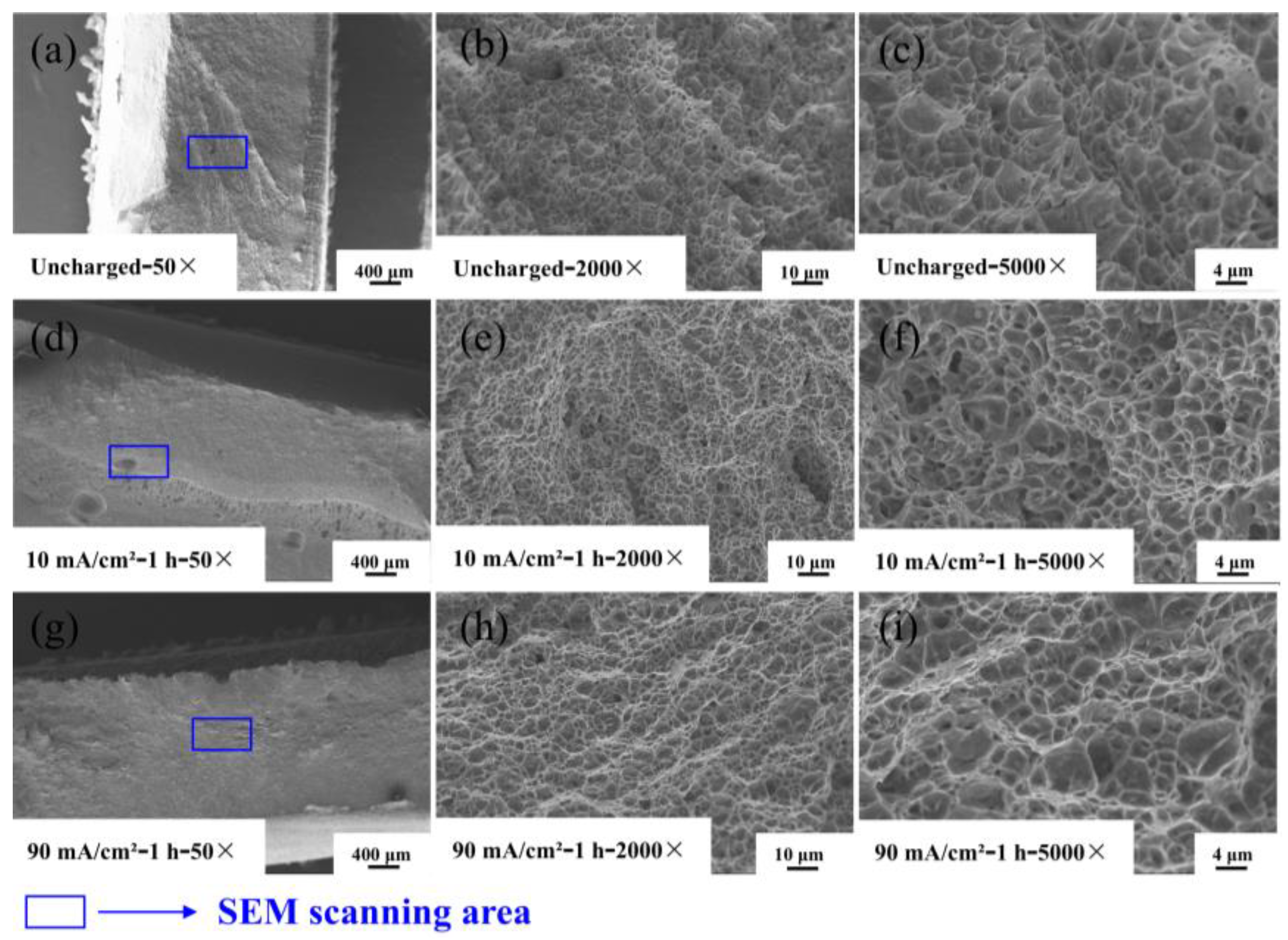 Materials 17 05446 g014