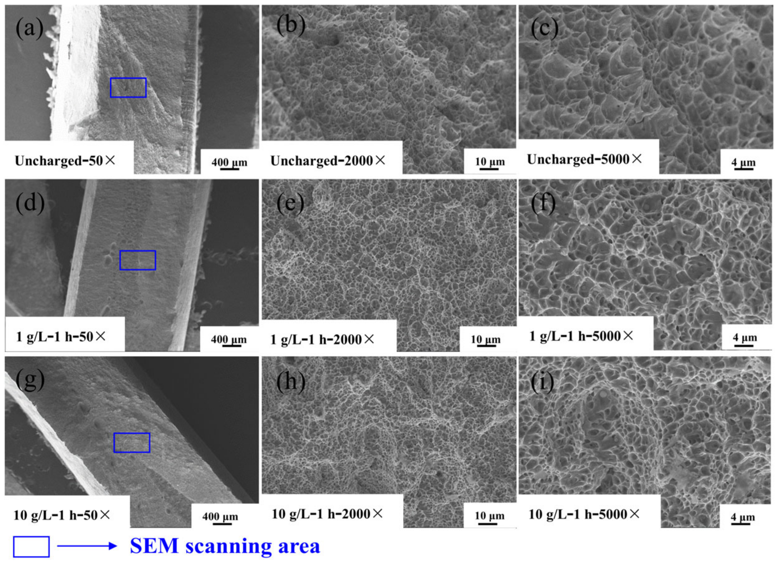 Materials 17 05446 g016