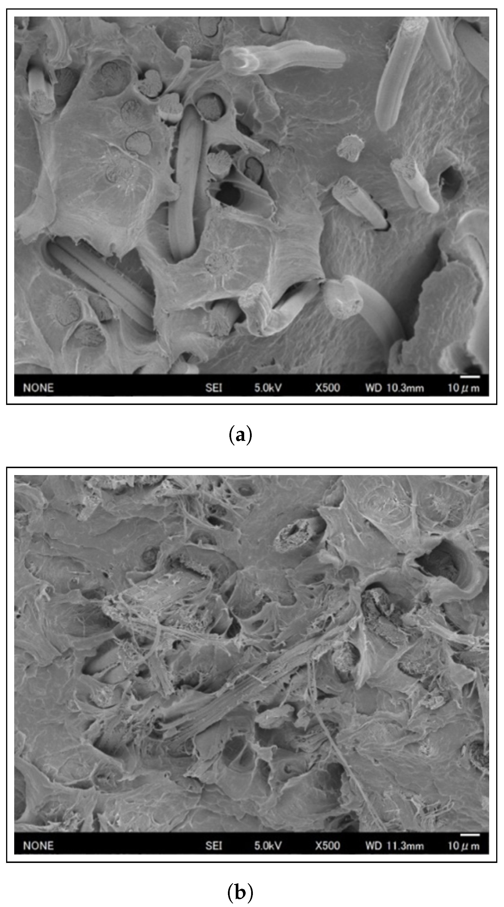 Materials 17 05519 g008