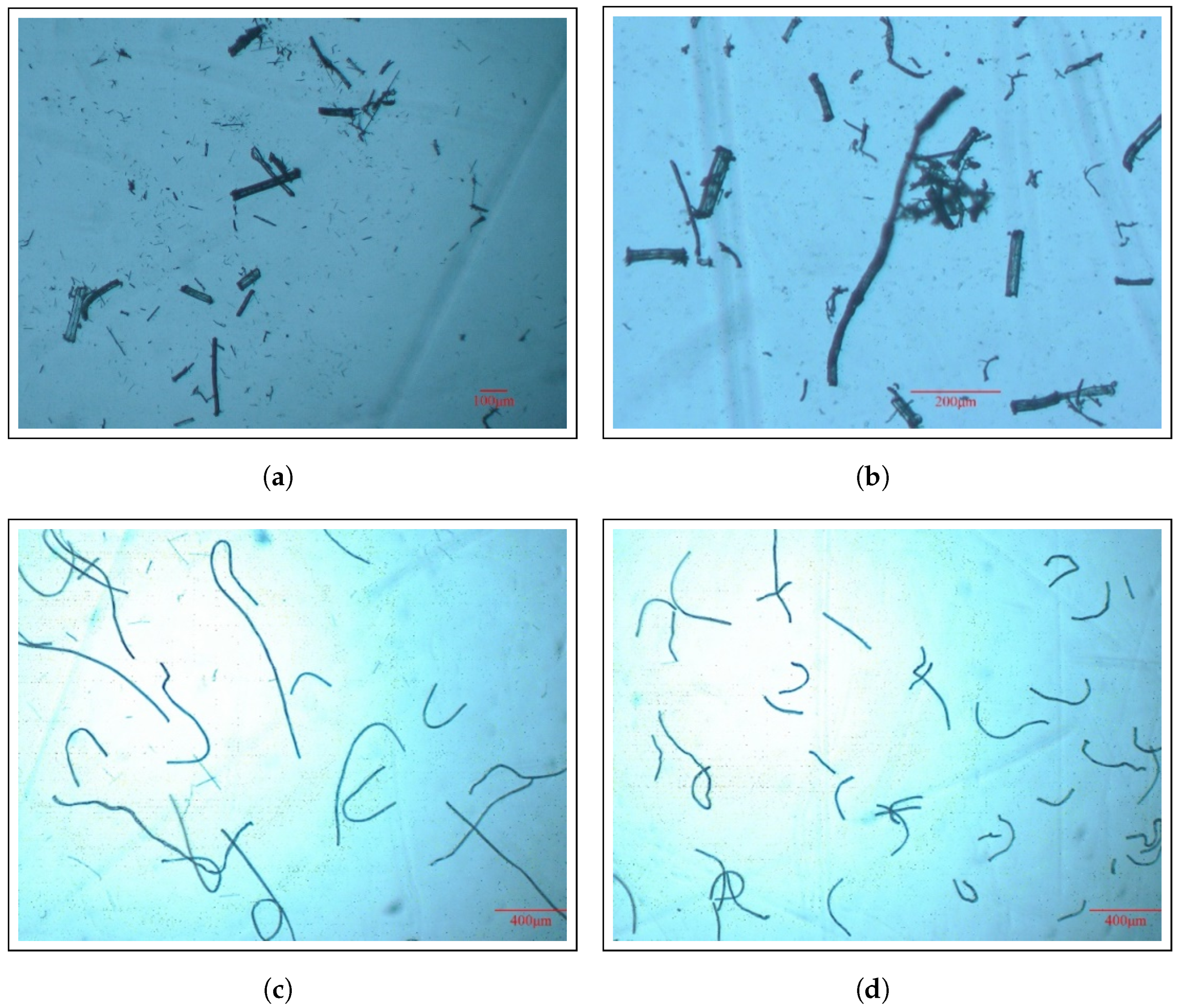 Materials 17 05519 g009