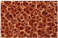 Materials 17 05557 i001