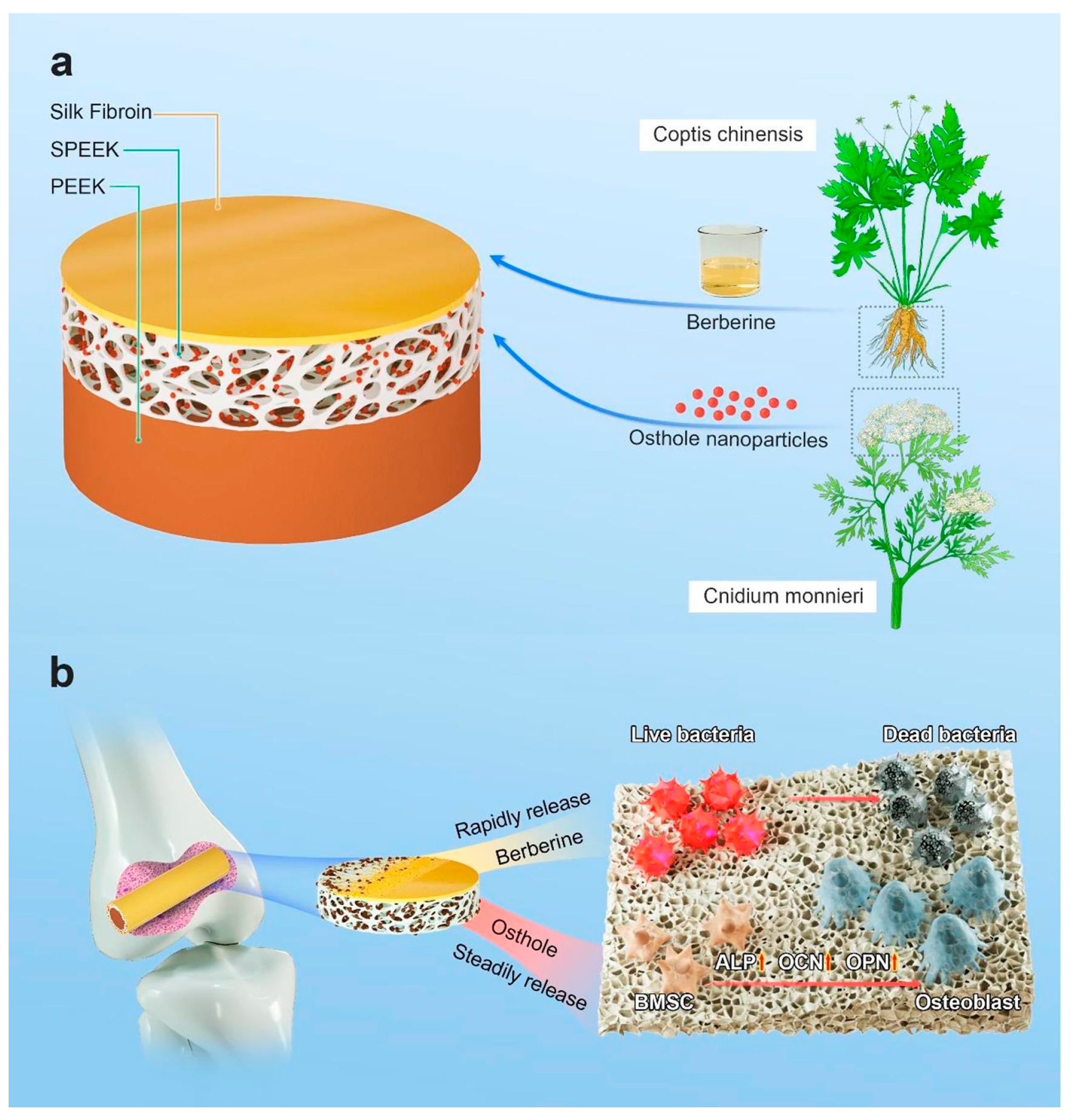 Materials 17 05607 g004