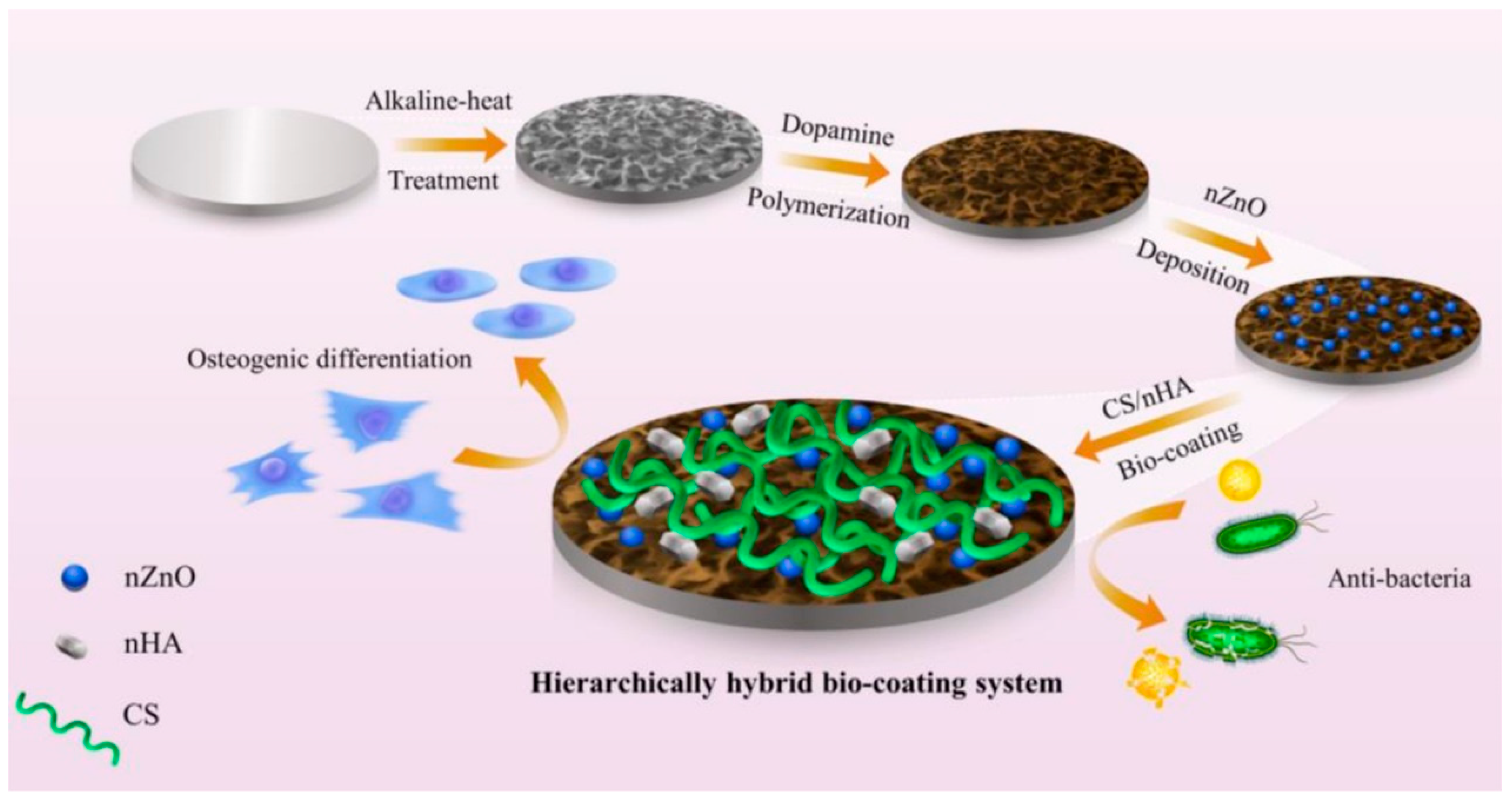 Materials 17 05607 g007