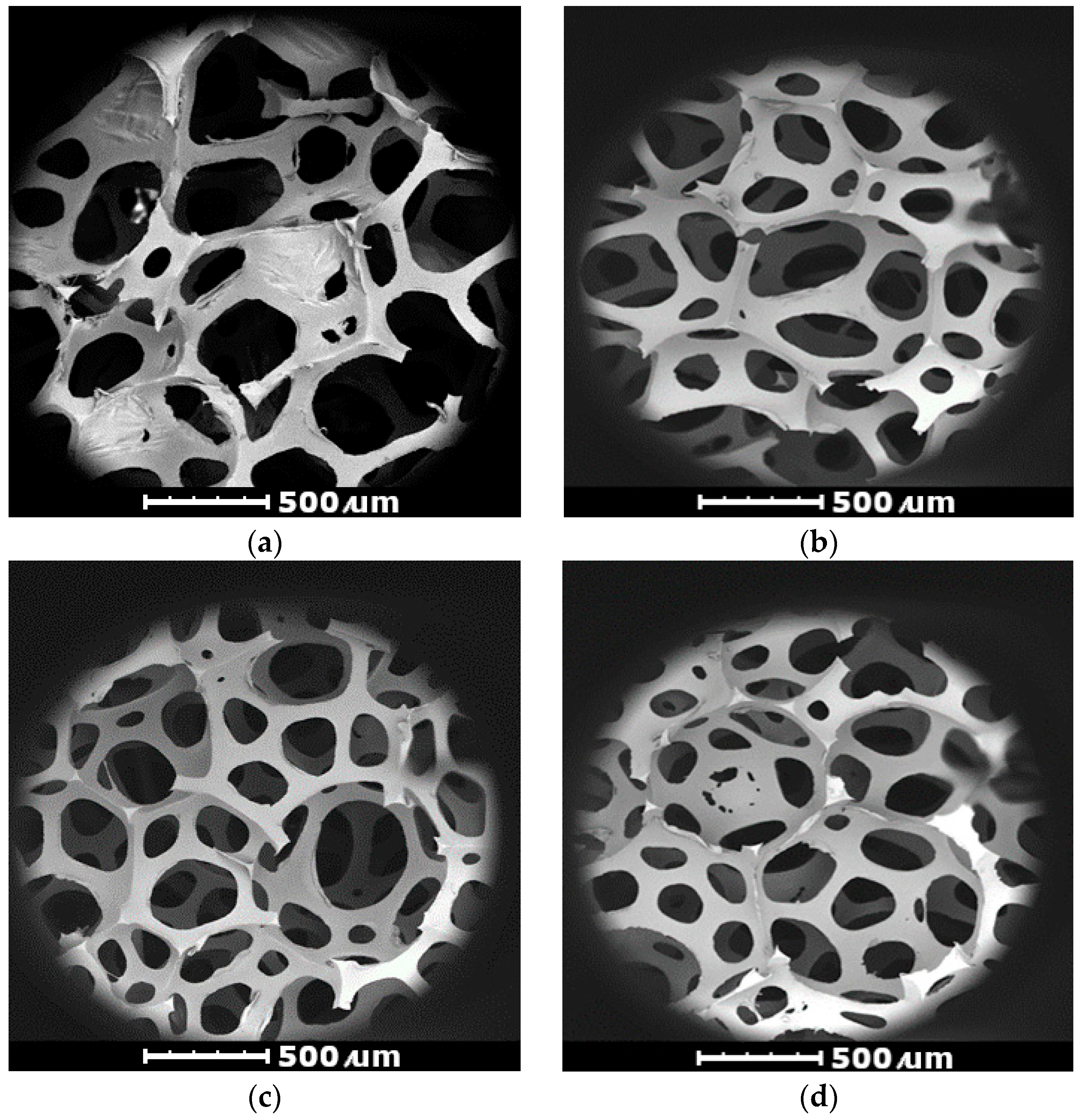 Materials 17 05641 g005 Materials 17 05641 g005