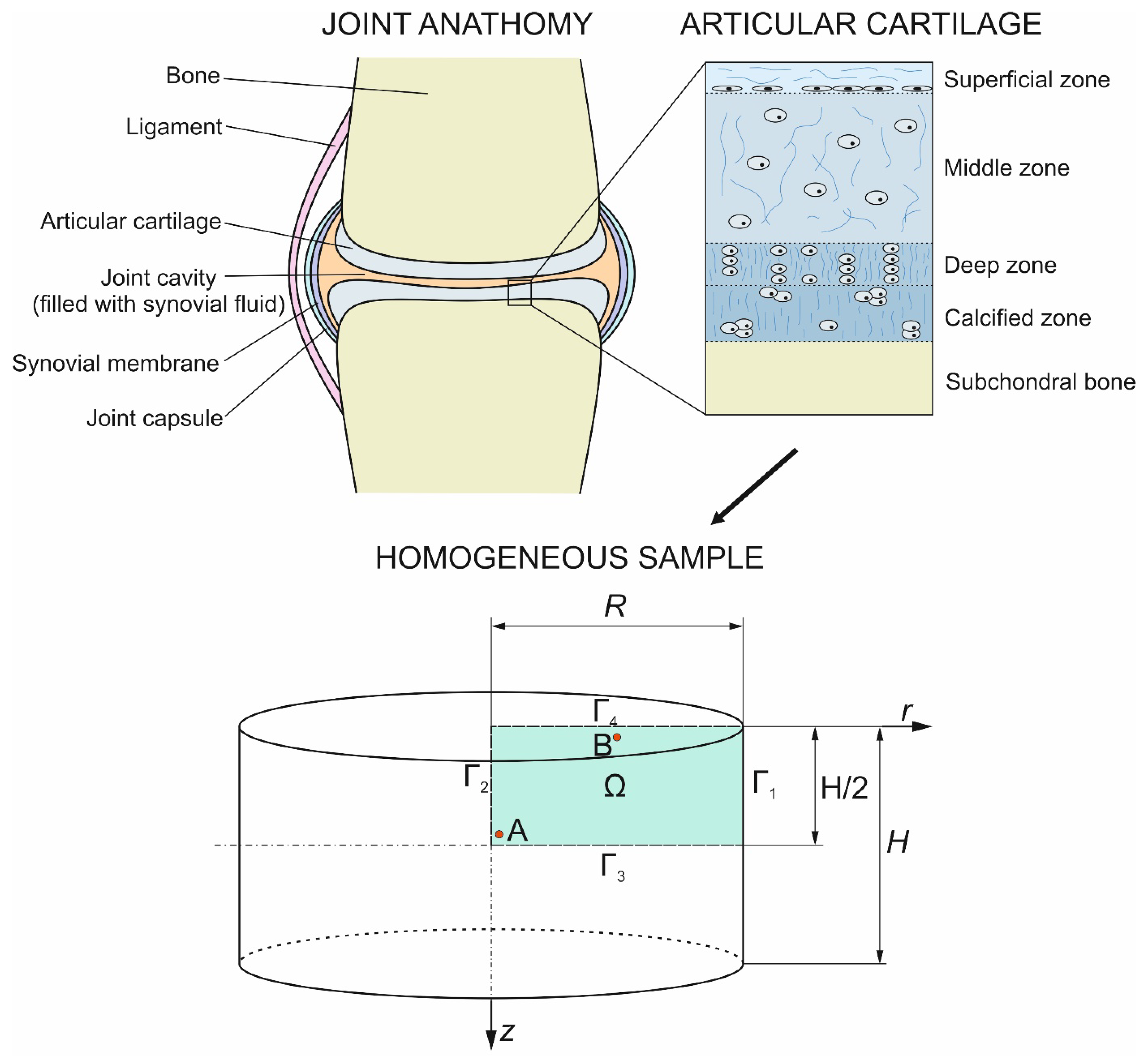 Materials 17 05703 g001
