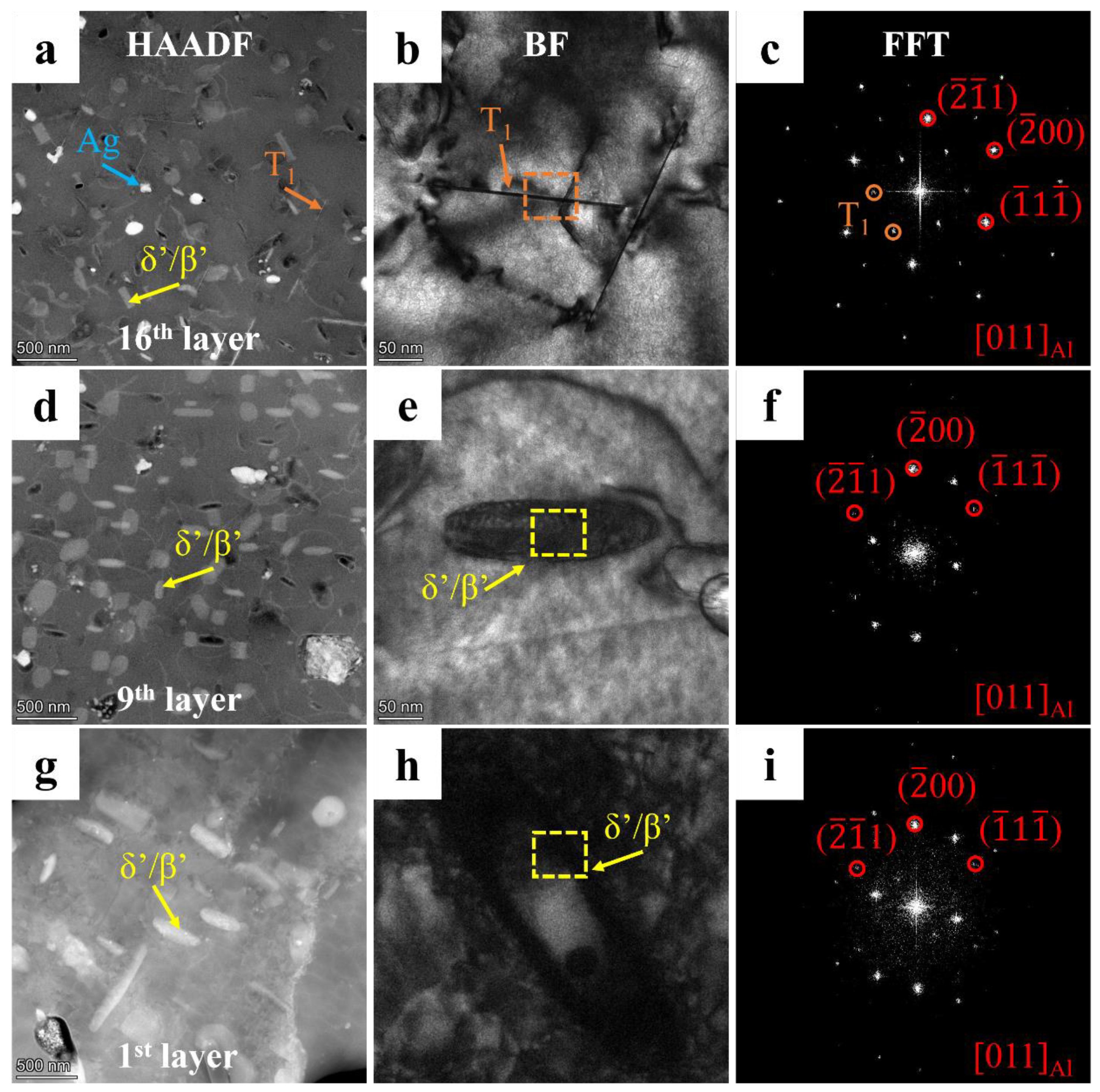 Materials 17 05748 g010