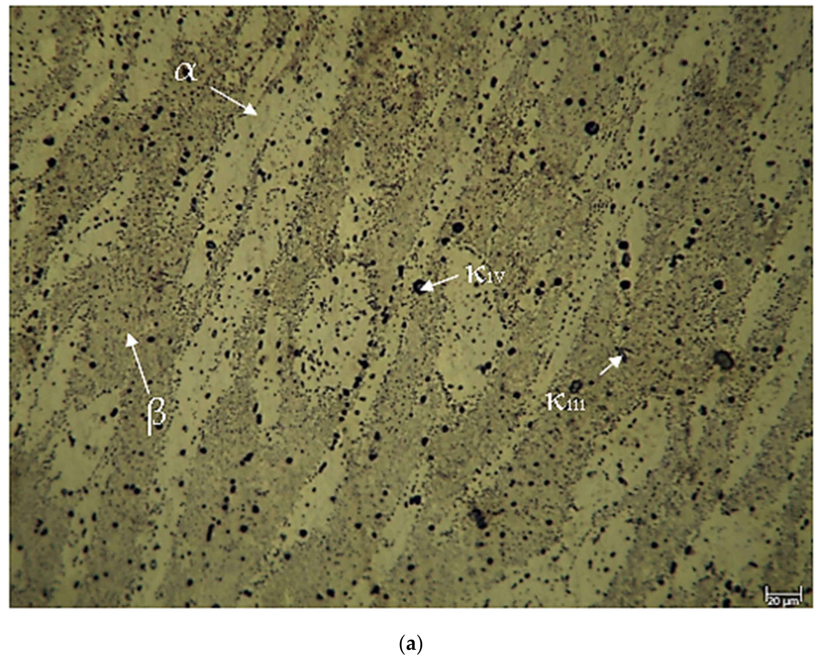 Materials 17 05757 g002a Materials 17 05757 g002a