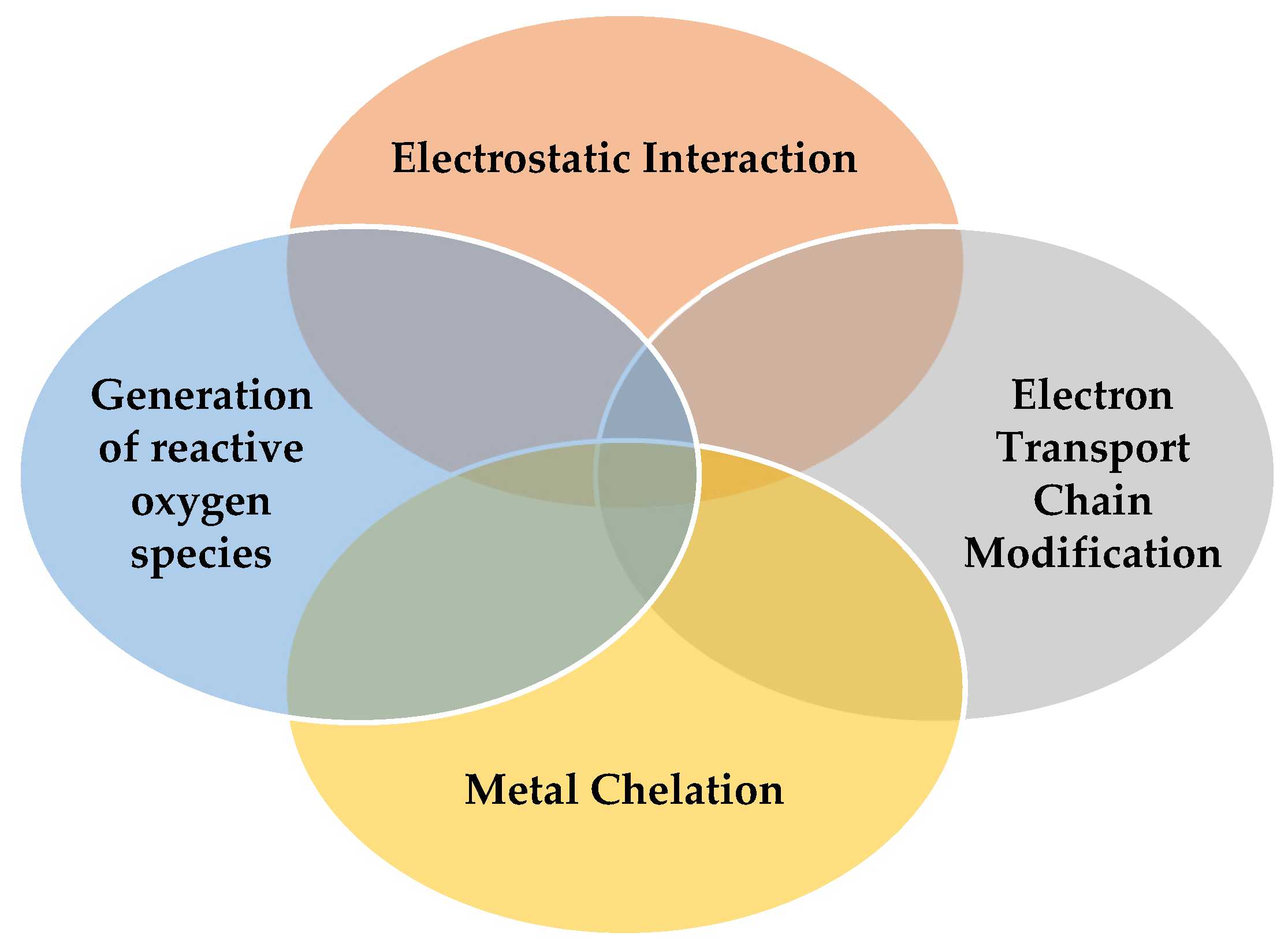 Materials 17 05770 g005