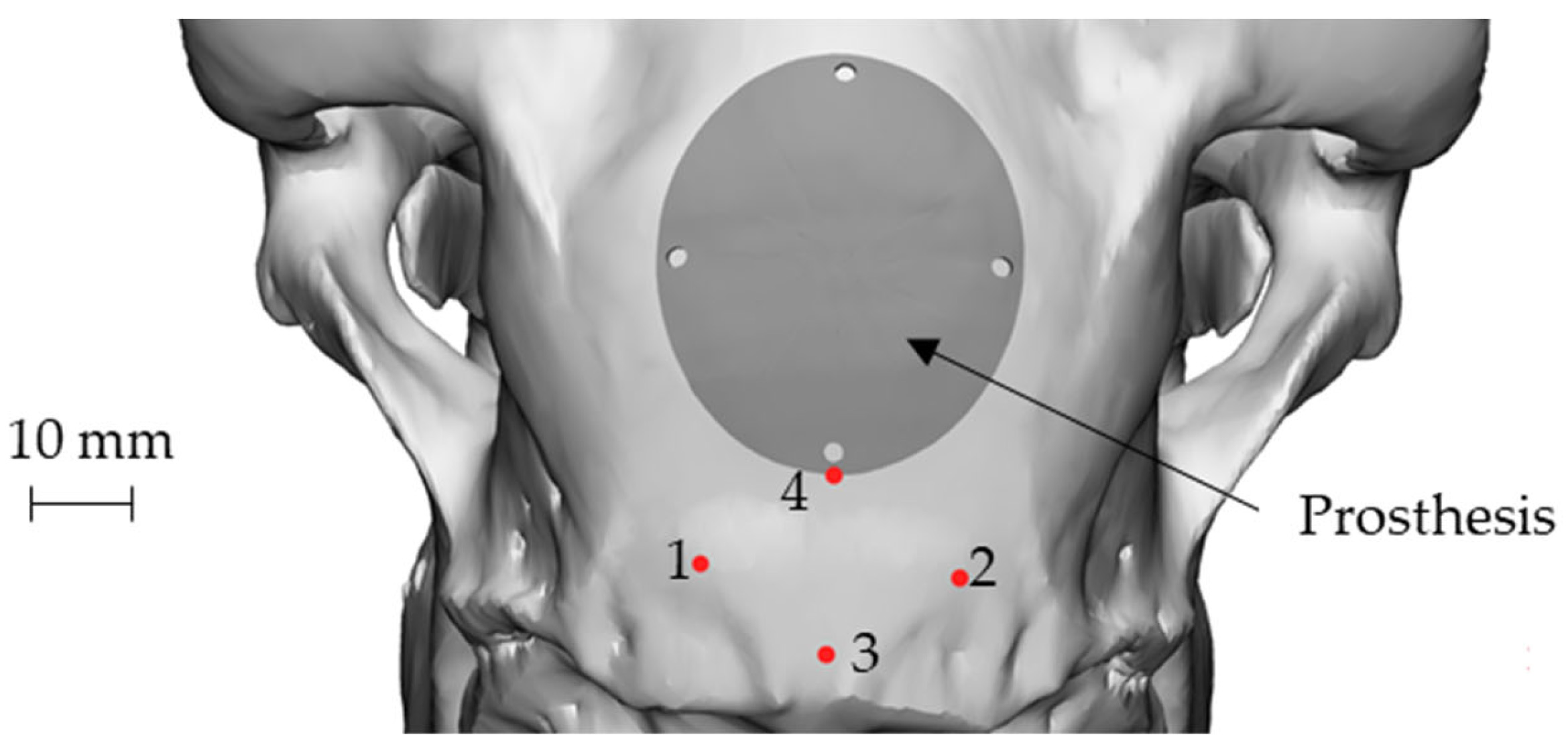 Materials 17 05811 g009 Materials 17 05811 g009