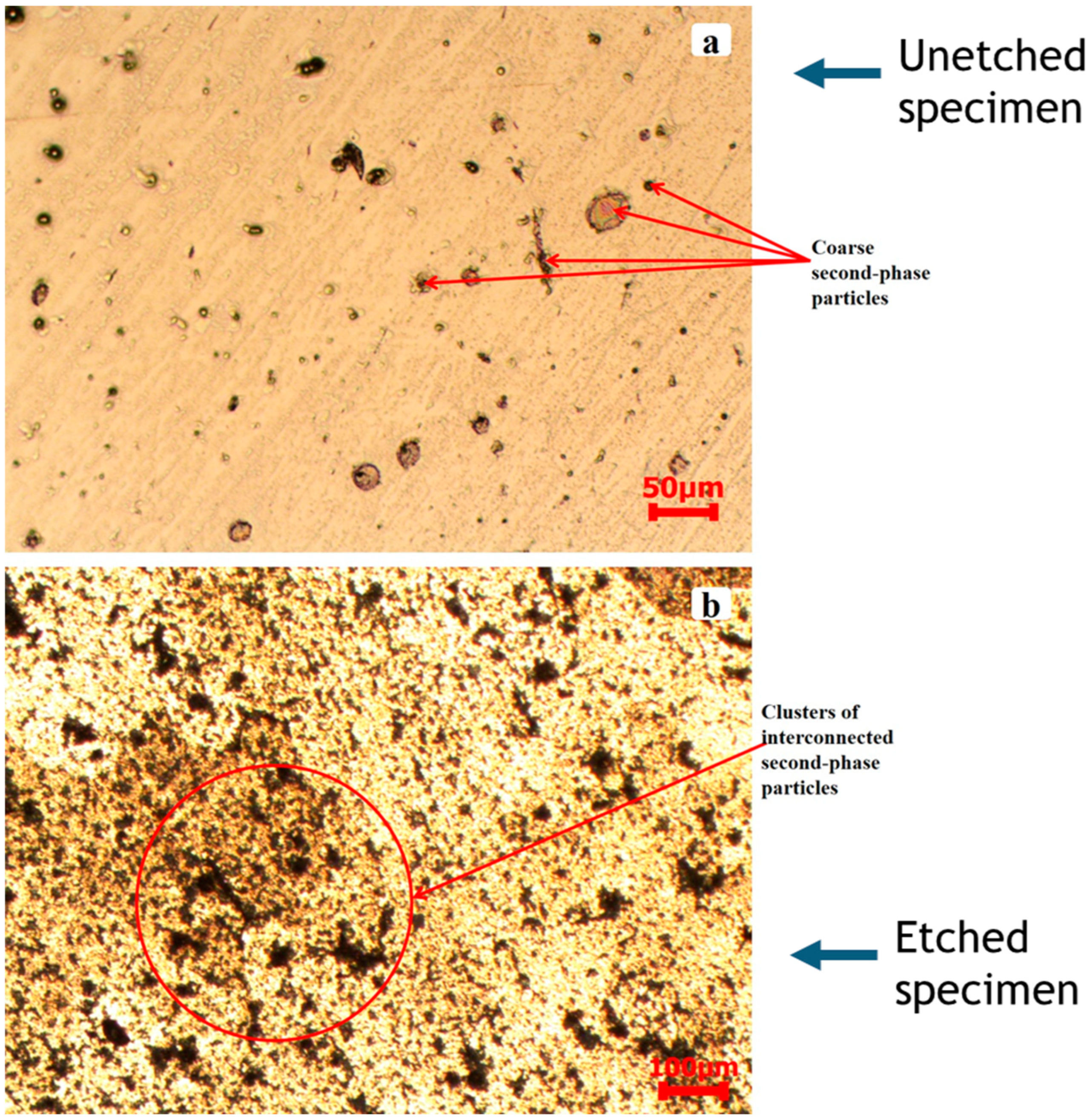 Materials 17 05823 g005