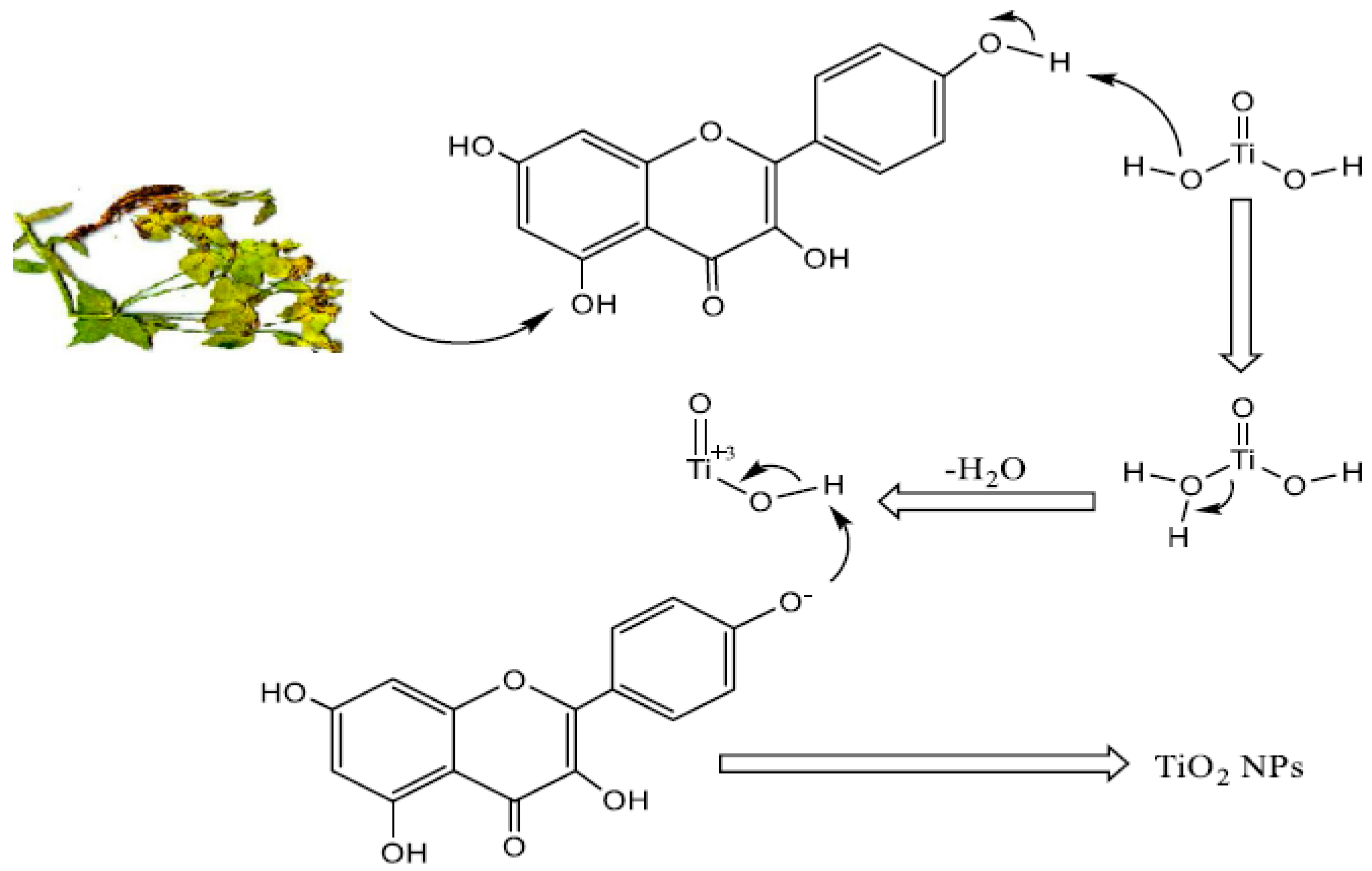 Materials 17 05835 g004 Materials 17 05835 g004