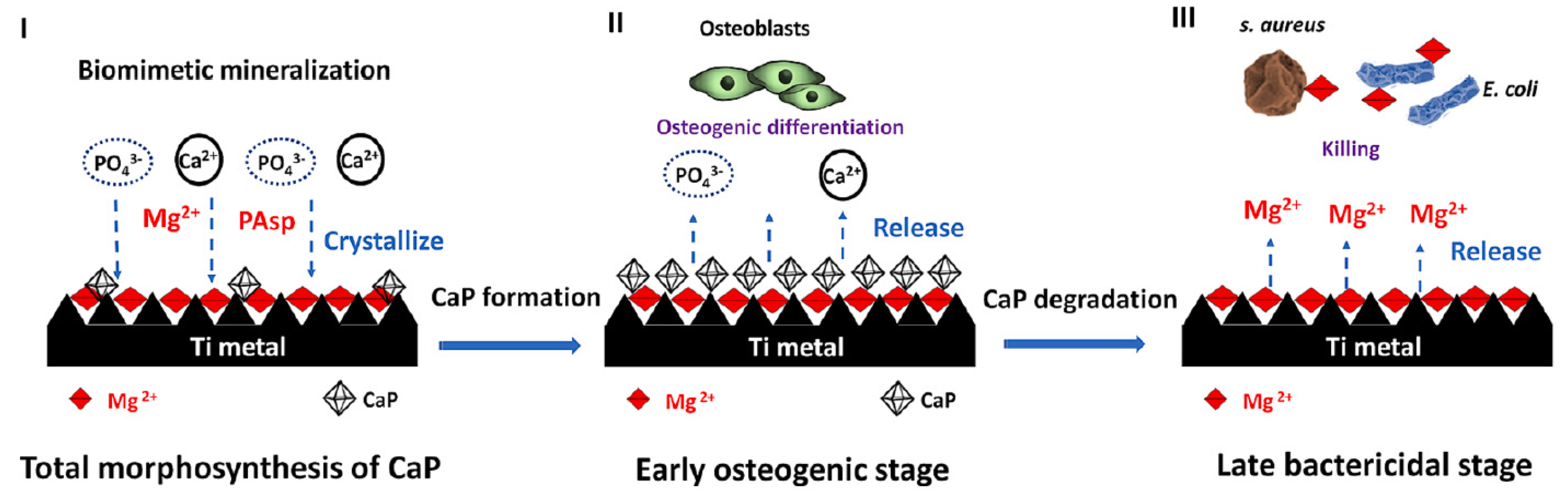 Materials 17 05847 g015