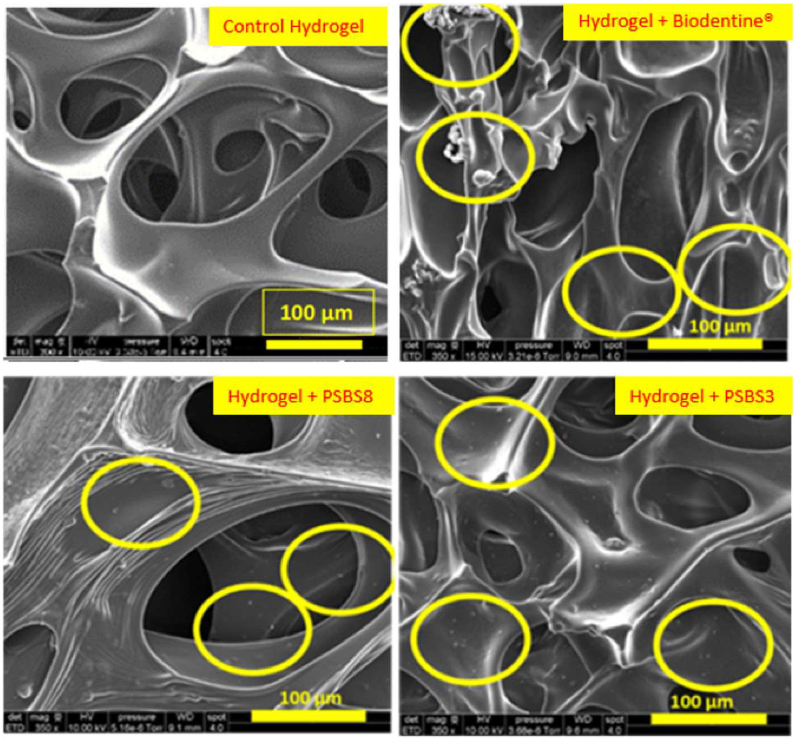 Materials 17 05862 g001 Materials 17 05862 g001