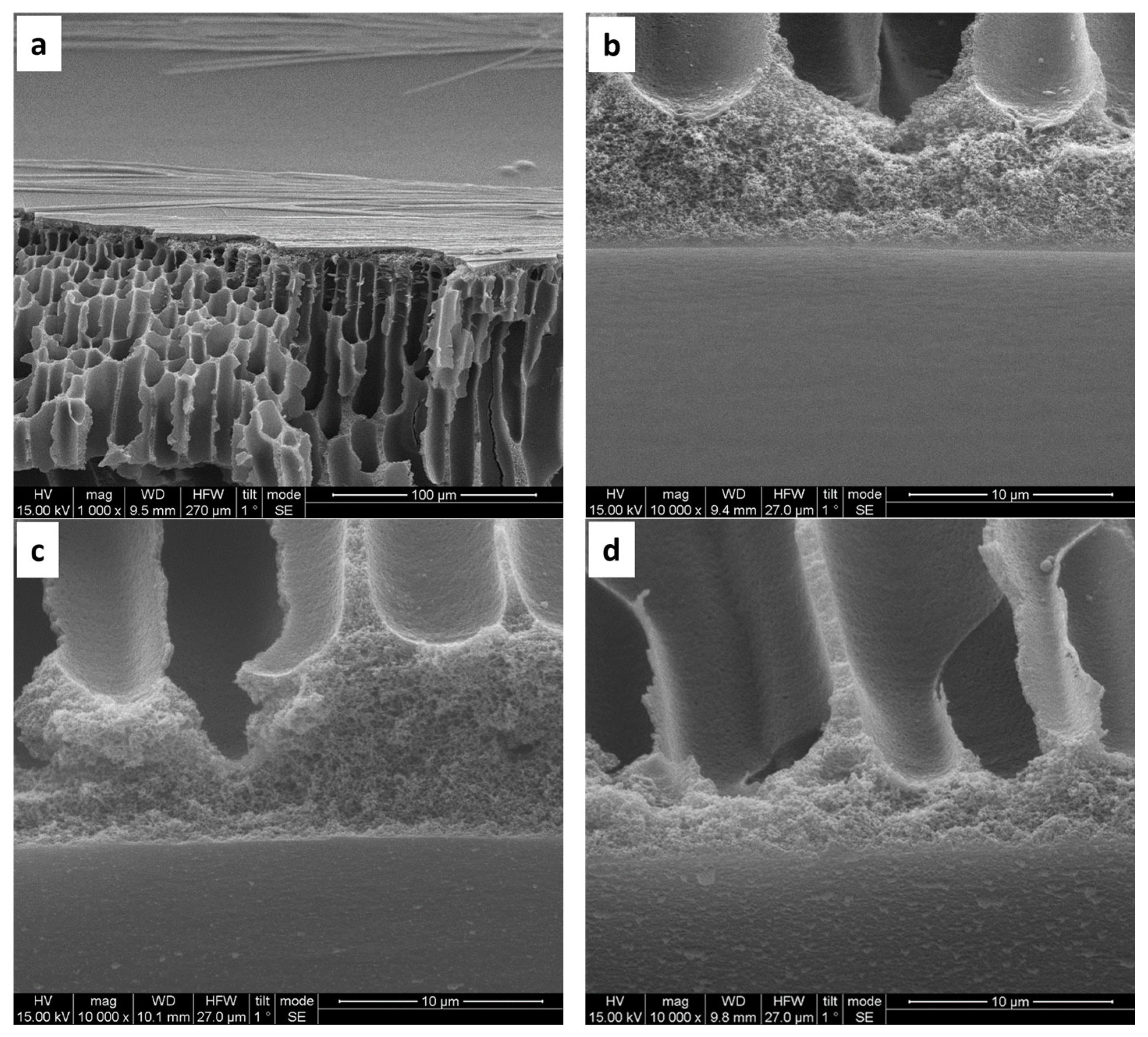 Materials 17 05878 g004