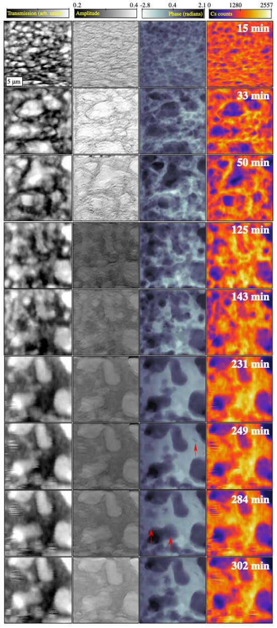 Materials 17 05896 g006