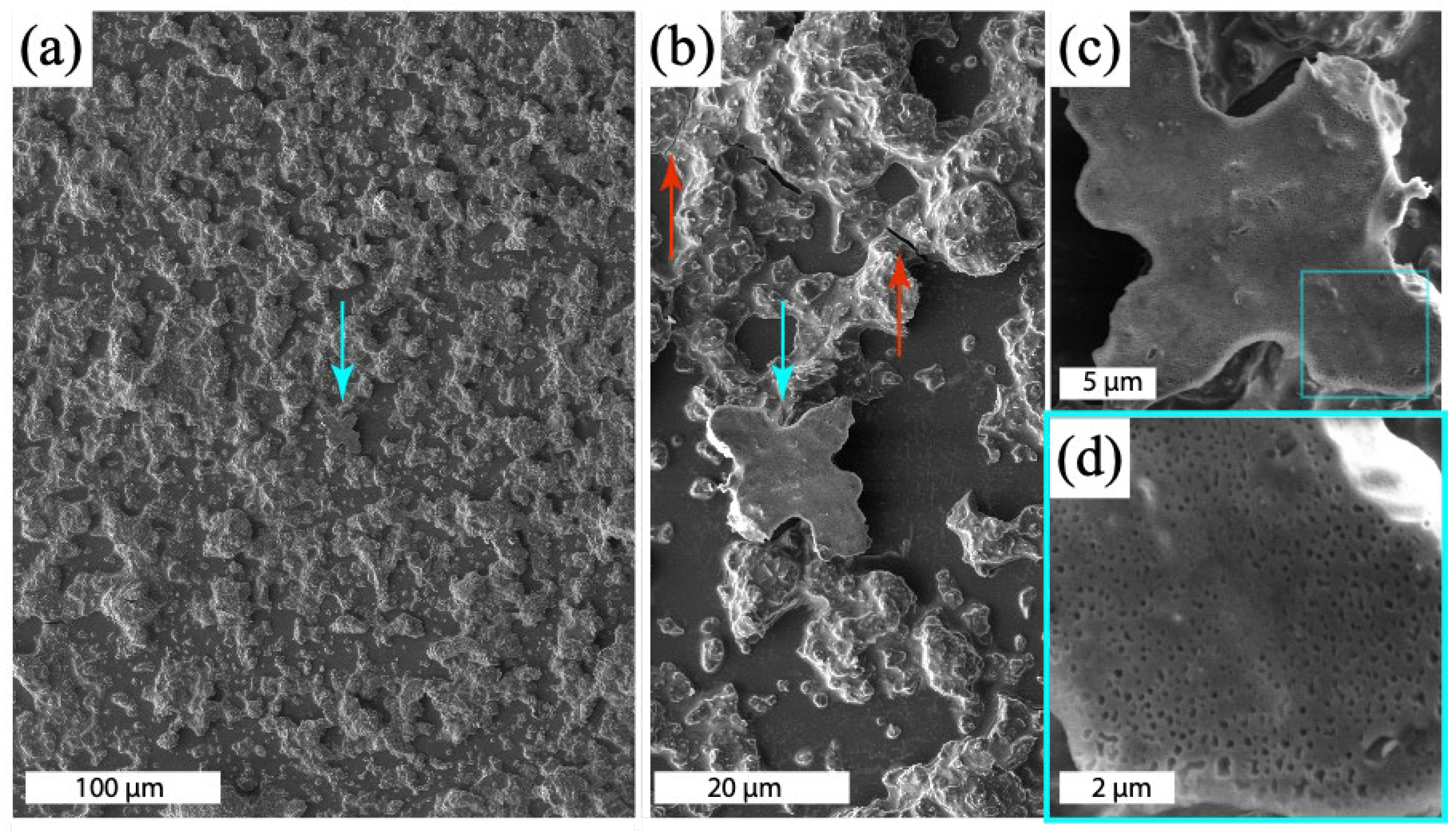 Materials 17 05896 g007