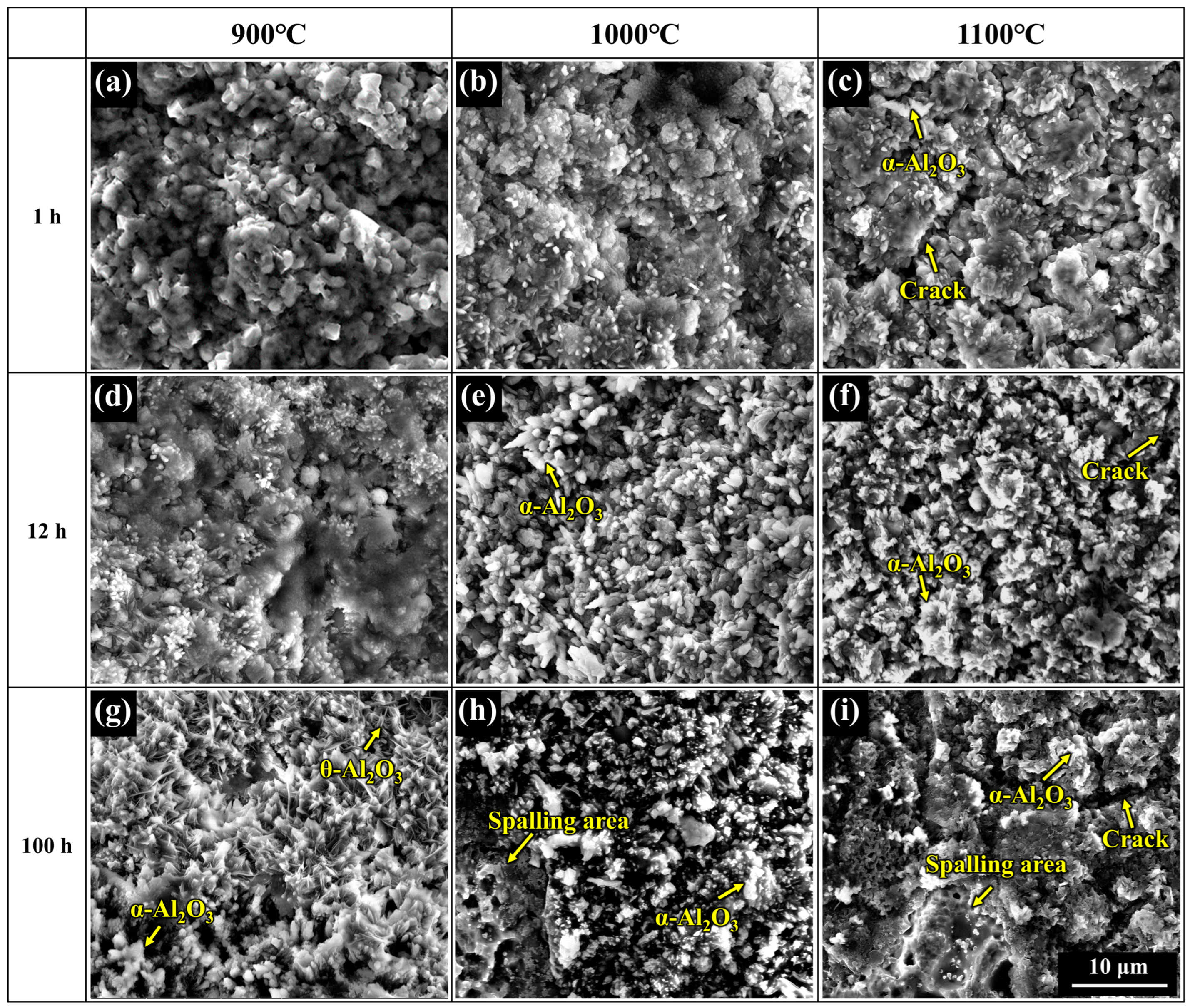 Materials 17 05897 g010