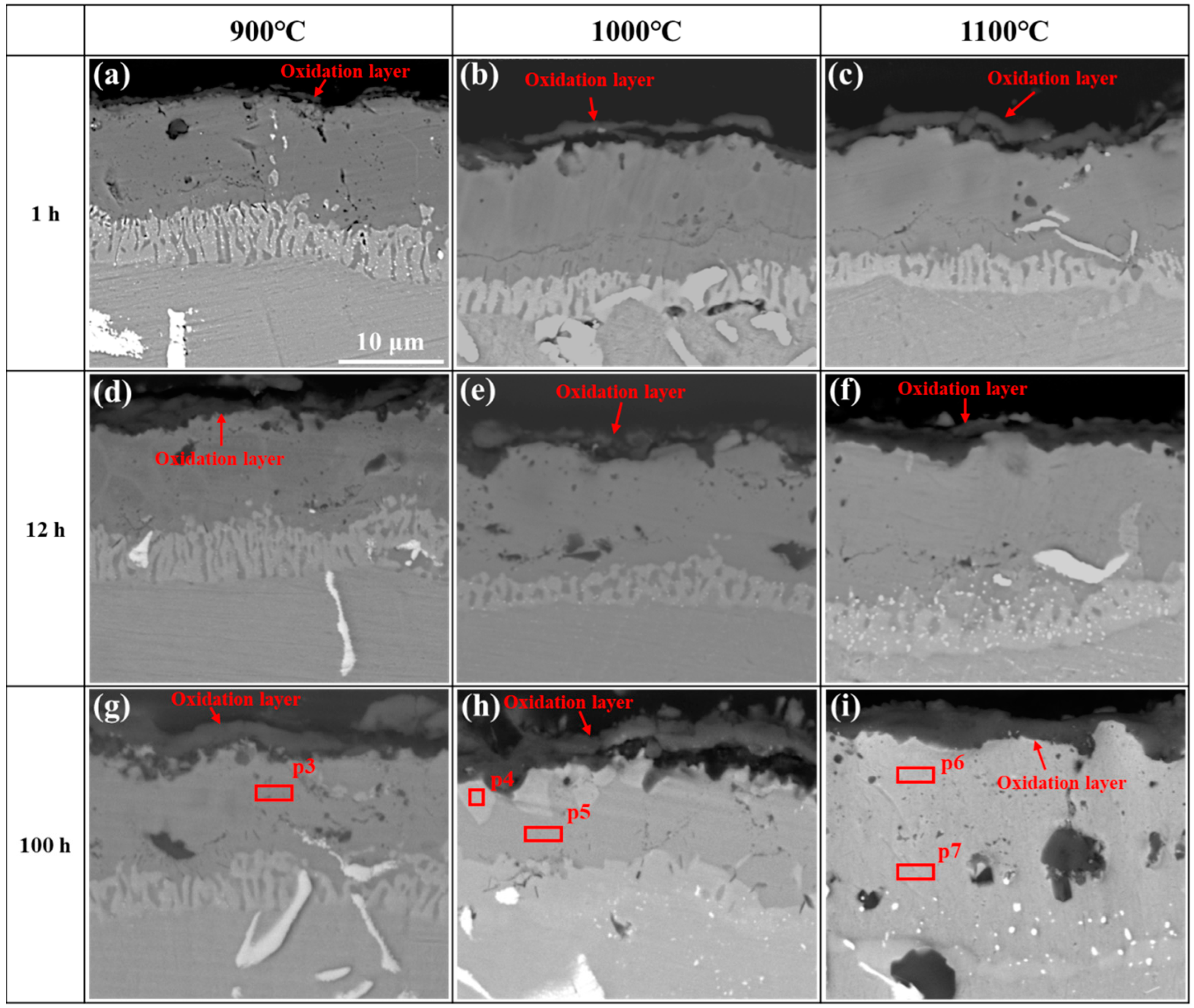 Materials 17 05897 g014